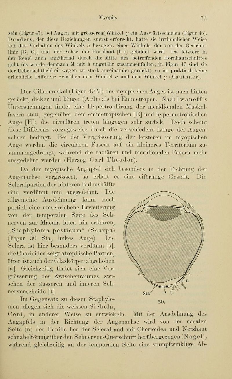 sein (Figur 47), bei Augen mit grösseren£Winkel y ein AuswärtsscMelen (Figur 48). Donders, der diese Beziehungen zuerst erforscht, hatte sie irrthümlicher Weise auf das Verhalten des Winkels « bezogen: eines 'Winkels, der von der Gesichts- linie [Gi (VI und der Achse der Bornhaut [h a] gebildet wird. Da letztere in der Regel auch annähernd durch die .Mitte des betreffenden Eornhautschnittes geht i es würde demnach M mit h ungefähr zusammen!'allen; in Figur 47 sind sie der Uebersichtlichkeit wegen zu stark auseinander gerückt), so ist praktisch keine erhebliche Differenz zwischen dem Winkel a und dem Winke] y (Mauthner). Her Cüiarmuskel (Figur 49M) des myopischen Auges ist nach hinten gerückt; dicker und länger (Arlt) als bei Emmetropen. Nach Iwanoff 's Untersuchungen findet eine Hypertrophirung der meridionalen Muskel- fasern statt, gegenüber dem emmetropischen [E] und hypermetropischen Auge [11 j: die circulären treten hingegen sein- zurück. Doch scheint diese Differenz vorzugsweise durch die verschiedene Länge der Augen- achsen bedingt. Bei der Vergrösserung der letzteren im myopischen Auge werden die circulären Fasern auf ein kleineres Territorium zu- sammengedrängt, während die radiären und meridionalen Fasern mehr ausgedehnt werden (Herzog Carl Theodor). Da der myopische Augapfel sich besonders in der Richtung der Augenachse vergrössert, so erhält er eine eiförmige Gestalt. Die Seleralpartien der hinteren Bulbushälfte sind verdünnt und ausgedehnt. Die allgemeine Ausdehnimg kann noch partiell eine umschriebene Erweiterung von der temporalen Seite des Seh- nerven zur Macula lutea hin erfahren, „Staphyloma posticum (Scarpa) Figur 50 Sta; linkes Auge). Die Sclera ist hier besonders verdünnt [s], die Chorioidea zeigt atrophische Partien, öfter ist auch der Glaskörper abgehoben [a]. Gleichzeitig findet sich eine Ver- grösserung des Zwischenraumes zwi- schen der äusseren und inneren Seh- nervenscheide [t]. Im Gegensatz zu diesen Staphylo- men pflegen sich die weissen Sicheln, Coni, in anderer Weise zu entwickeln. Mit der Ausdehnung des Augapfels in der Richtung der Augenachse wird von der nasalen Seite (n) der Papille her der Seleralrand mit Chorioidea und Netzhaut schnabelförmig über den Sehnerven-Querschnitt herübergezogen (Nagel), während gleichzeitig an der temporalen Seite eine stumpfwinklige Ab-