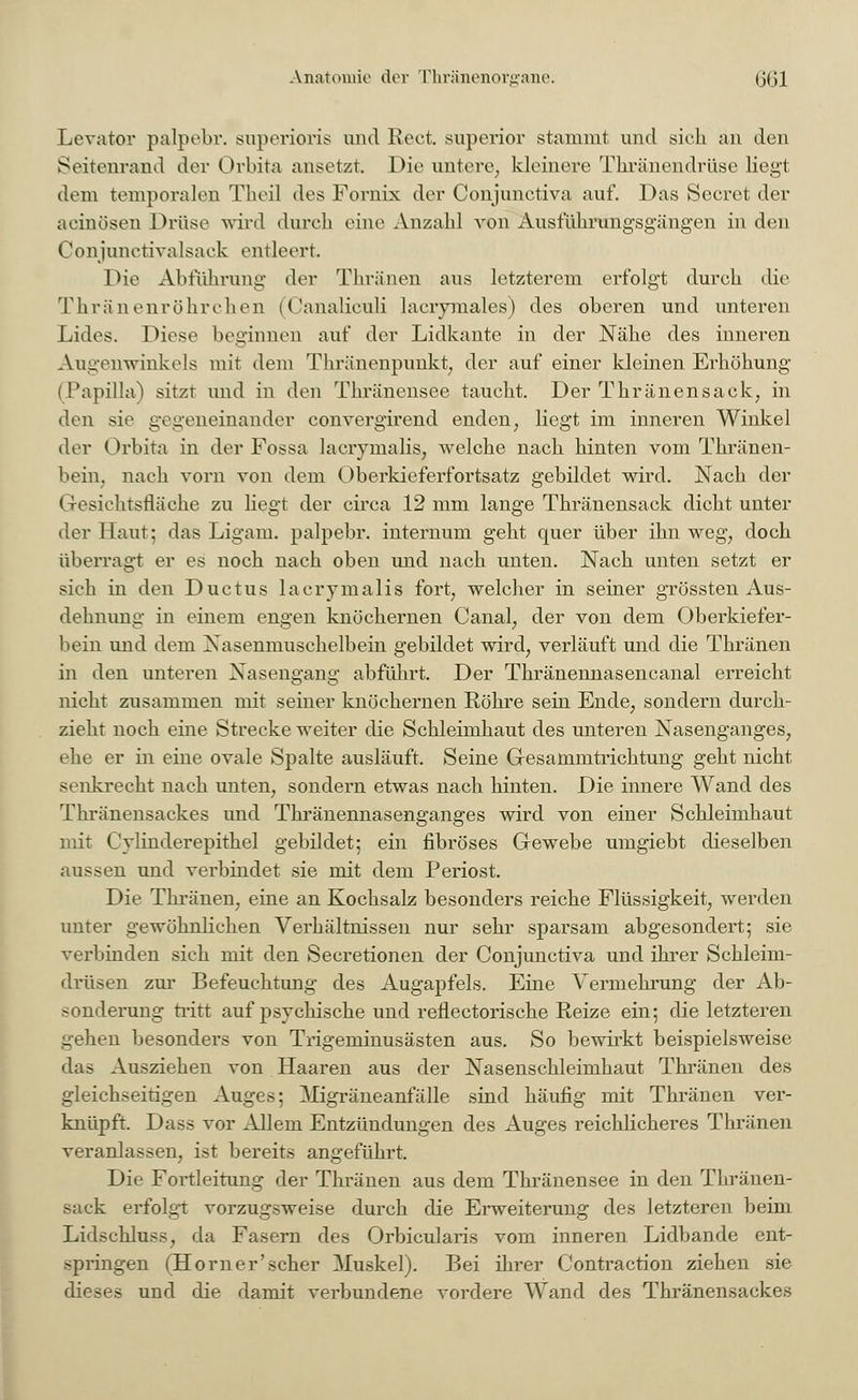 Anatomie der Thränenorgane. Ijlil Levator palpebr. superioris und Rect. superior stammt und sich an den Seitenrand der Orbita ansetzt. Die untere, kleinere Tkränendrüse liegt dem temporalen Theil des Fornix der Conjunctiva auf. Das Secret der acinösen Drüse wird durch eine Anzahl von Ausführungsgängen in den Conjunctivalsack entleert. 1 He Abführung der Thränen aus letzterem erfolgt durch die Thränenröhrchen (Canaliculi lacrymales) des oberen und unteren Lides. Diese beginnen auf der Lidkante in der Nähe des inneren Augenwinkels mit dem Thränenpunkt, der auf einer kleinen Erhöhung (Papilla) sitzt und in den Thränensee taucht. Der Thränensack, in den sie gegeneinander convergirend enden; liegt im inneren Winkel der Orbita in der Fossa lacrynialis, welche nach hinten vom Thränen- bein; nach vorn von dem Oberkieferfortsatz gebildet wird. Nach der Gesichtsfläche zu Hegt der circa 12 mm lange Thränensack dicht unter der Haut; das Ligam. palpebr. internum geht quer über ihn weg, doch überragt er es noch nach oben und nach unten. Nach unten setzt er sich in den Ductus lacrymalis fort, welcher in seiner grössten Aus- dehnung in einem engen knöchernen Canal, der von dem Oberkiefer- bein und dem Nasenmuschelbein gebildet wird, verläuft und die Thränen in den unteren Nasengang abführt. Der Thränennasencanal erreicht nicht zusammen mit seiner knöchernen Röhre sein Ende; sondern durch- zieht noch eine Strecke weiter die Schleimhaut des unteren Nasenganges, ehe er in eine ovale Spalte ausläuft. Seine Gesammtrichtung geht nicht senkrecht nach unten, sondern etwas nach hinten. Die innere Wand des Thränensackes und Thränennasenganges wird von einer Schleimhaut mit Cylinderepithel gebildet; ein fibröses Gewebe umgiebt dieselben aussen und verbindet sie mit dem Periost. Die Thränen, eine an Kochsalz besonders reiche Flüssigkeit, werden unter gewöhnlichen Verhältnissen nur sehr sparsam abgesondert; sie verbinden sich mit den Secretionen der Conjunctiva und ihrer Schleim- drüsen zur Befeuchtung des Augapfels. Eine Vermehrung der Ab- sonderung tritt auf psychische und reflectorische Reize ein; die letzteren gehen besonders von Trigeminusästen aus. So bewirkt beispielsweise das Ausziehen von Haaren aus der Nasenschleimhaut Thränen des gleichseitigen Auges; Migräneanfälle sind häufig mit Thränen ver- knüpft. Dass vor Allem Entzündungen des Auges reichlicheres Thränen veranlassen, ist bereits angeführt. Die Fortleitung der Thränen aus dem Thränensee in den Thränen- sack erfolgt vorzugsweise durch die Erweiterung des letzteren beim Lidschluss, da Fasern des Orbicularis vom inneren Lidbande ent- springen (Homer'scher Muskel). Bei ihrer Contraction ziehen sie dieses und die damit verbundene vordere Wand des Thränensackes