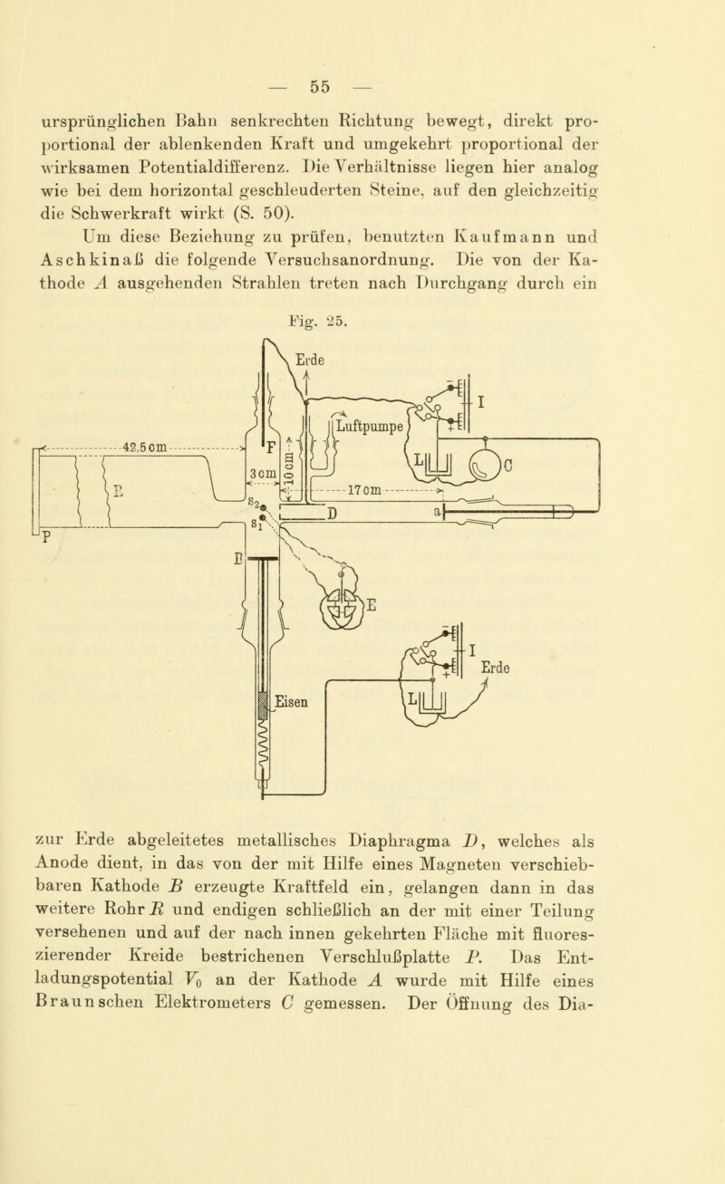 ursprünglichen Bahn senkrechten Richtung bewegt, direkt pro- portional der ablenkenden Kraft und umgekehrt proportional der wirksamen Potentialdiö'erenz. Die Verhältnisse liegen hier analog wie bei dem horizontal geschleuderten Steine, auf den gleichzeitig die Schwerkraft wirkt (S. 50). Um diese Beziehung zu prüfen, benutzten Kaufmann und Aschkinaß die folgende Versuchsanordnung. Die von der Ka- thode A ausgehenden Strahlen treten nach Durchgang durch ein Fig. 25. zur Erde abgeleitetes metallisches Diaphragma D, welches als Anode dient, in das von der mit Hilfe eines Magneten verschieb- baren Kathode B erzeugte Kraftfeld ein, gelangen dann in das weitere Rohr B und endigen schließlich an der mit einer Teilung versehenen und auf der nach innen gekehrten Fläche mit fluores- zierender Kreide bestrichenen Verschlußplatte P. Das Ent- ladungspotential V0 an der Kathode A wurde mit Hilfe eines Braun sehen Elektrometers C gemessen. Der Öffnung des Dia-