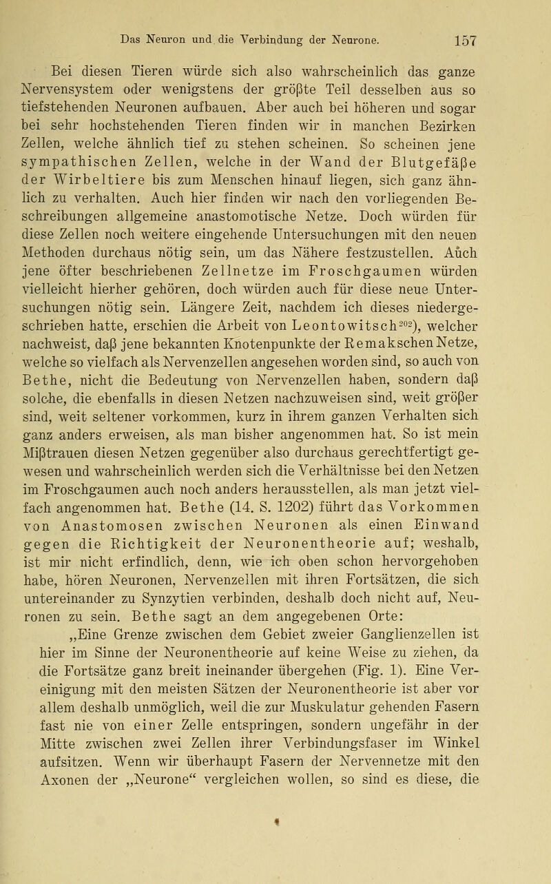 Bei diesen Tieren würde sich also wahrscheinlich das ganze Nervensystem oder wenigstens der größte Teil desselben aus so tiefstehenden Neuronen aufbauen. Aber auch bei höheren und sogar bei sehr hochstehenden Tieren finden wir in manchen Bezirken Zellen, welche ähnlich tief zu stehen scheinen. So scheinen jene sympathischen Zellen, welche in der Wand der Blutgefäße der Wirbeltiere bis zum Menschen hinauf liegen, sich ganz ähn- lich zu verhalten. Auch hier finden wir nach den vorliegenden Be- schreibungen allgemeine anastomotische Netze. Doch würden für diese Zellen noch weitere eingehende Untersuchungen mit den neuen Methoden durchaus nötig sein, um das Nähere festzustellen. Auch jene öfter beschriebenen Zellnetze im Froschgaumen würden vielleicht hierher gehören, doch würden auch für diese neue Unter- suchungen nötig sein. Längere Zeit, nachdem ich dieses niederge- schrieben hatte, erschien die Ai'beit von Leontowitsch-^^)^ welcher nachweist, daß jene bekannten Knotenpunkte der Remaksehen Netze, welche so vielfach als Nervenzellen angesehen worden sind, so auch von Bethe, nicht die Bedeutung von Nervenzellen haben, sondern daß solc-he, die ebenfalls in diesen Netzen nachzuweisen sind, weit größer sind, weit seltener vorkommen, kurz in ihrem ganzen Verhalten sich ganz anders erweisen, als man bisher angenommen hat. So ist mein Mißtrauen diesen Netzen gegenüber also durchaus gerechtfertigt ge- wesen und wahrscheinlich werden sich die Verhältnisse bei den Netzen im Froschgaumen auch noch anders herausstellen, als man jetzt viel- fach angenommen hat. Bethe (14. S. 1202) führt das Vorkommen von Anastomosen zwischen Neuronen als einen Einwand gegen die Richtigkeit der Neuronentheorie auf; weshalb, ist mir nicht erfindlich, denn, wie ich oben schon hervorgehoben habe, hören Neuronen, Nervenzellen mit ihren Fortsätzen, die sich untereinander zu Synzytien verbinden, deshalb doch nicht auf. Neu- ronen zu sein. Bethe sagt an dem angegebenen Orte: „Eine Grenze zwischen dem Gebiet zweier Ganglienzellen ist hier im Sinne der Neuronentheorie auf keine Weise zu ziehen, da die Fortsätze ganz breit ineinander übergehen (Fig. 1). Eine Ver- einigung mit den meisten Sätzen der Neuronentheorie ist aber vor allem deshalb unmöglich, weil die zur Muskulatur gehenden Fasern fast nie von einer Zelle entspringen, sondern ungefähr in der Mitte zwischen zwei Zellen ihrer Verbindungsfaser im Winkel aufsitzen. Wenn wir überhaupt Fasern der Nervennetze mit den Axonen der „Neurone vergleichen wollen, so sind es diese, die