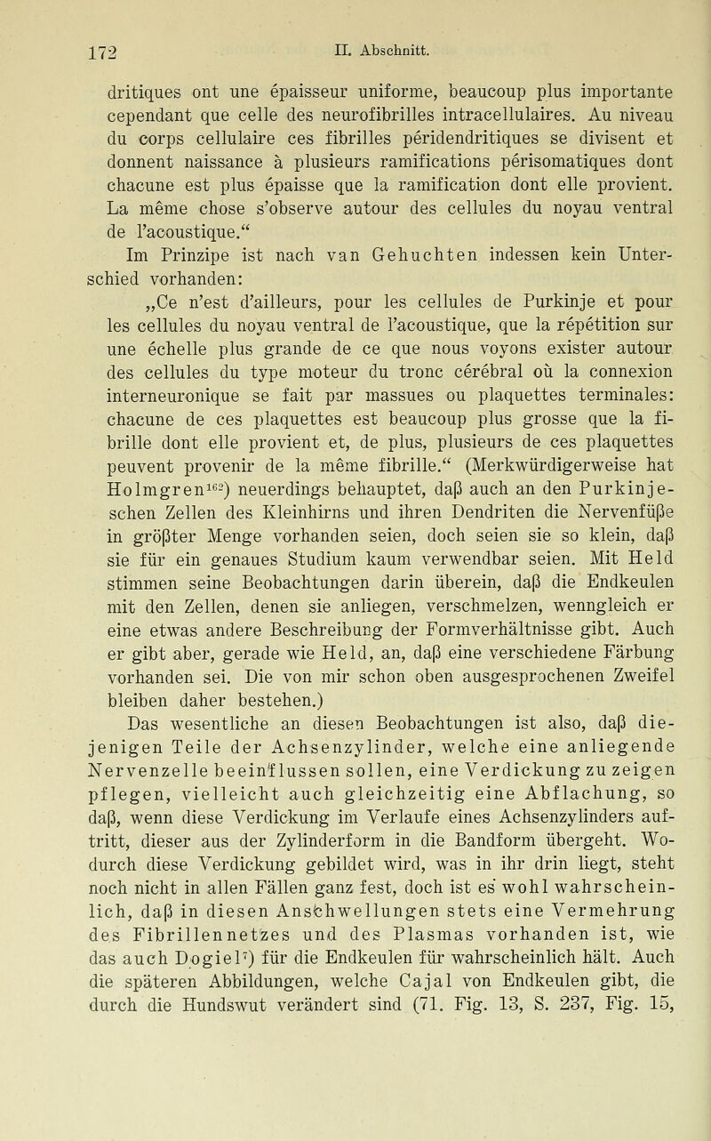 dritiques ont une epaisseur uniforme, beaucoup plus importante cependant que celle des neurofibrilles intracellulaires. Au niveau du 'Corps cellulaire ces fibrilles peridendritiques se divisent et donnent naissance ä plusieurs ramifications perisomatiques dont chacune est plus epaisse que la ramification dont eile provient. La meme chose s'observe autour des cellules du noyau ventral de racoustique. Im Prinzipe ist nach van Gehuchten indessen kein Unter- schied vorhanden: „Ce n'est d'ailleurs, pour les cellules de Purkinje et pour les cellules du noyau ventral de l'acoustique, que la repetition sur une echelle plus grande de ce que nous voyons exister autour des cellules du type moteur du tronc cerebral oü la connexion interneuronique se fait par massues ou plaquettes terminales: chacune de ces plaquettes est beaucoup plus grosse que la fi- brille dont eile provient et, de plus, plusieurs de ces plaquettes peuvent provenir de la meme fibrille. (Merkwürdigerweise hat Holmgreni*^2) neuerdings behauptet, daß auch an den Purkinje- schen Zellen des Kleinhirns und ihren Dendriten die Nervenfüße in größter Menge vorhanden seien, doch seien sie so klein, daß sie für ein genaues Studium kaum verwendbar seien. Mit Held stimmen seine Beobachtungen darin überein, daß die Endkeulen mit den Zellen, denen sie anliegen, verschmelzen, wenngleich er eine etwas andere Beschreibung der Formverhältnisse gibt. Auch er gibt aber, gerade wie Held, an, daß eine verschiedene Färbung vorhanden sei. Die von mir schon oben ausgesprochenen Zweifel bleiben daher bestehen.) Das wesentliche an diesen Beobachtungen ist also, daß die- jenigen Teile der Achsenzylinder, welche eine anliegende Nervenzelle beeinflussen sollen, eine Verdickung zu zeigen pflegen, vielleicht auch gleichzeitig eine Abflachung, so daß, wenn diese Verdickung im Verlaufe eines Achsenzylinders auf- tritt, dieser aus der Zylinderform in die Bandform übergeht. Wo- durch diese Verdickung gebildet wird, was in ihr drin liegt, steht noch nicht in allen Fällen ganz fest, doch ist es wohl wahrschein- lich, daß in diesen Ansfchwellungen stets eine Vermehrung de,s Fibrillennet^zes und des Plasmas vorhanden ist, wie das auch Dogiel^) für die Endkeulen für wahrscheinlich hält. Auch die späteren Abbildungen, welche Cajal von Endkeulen gibt, die durch die Hundswut verändert sind (71. Fig. 13, S. 237, Fig. 15,
