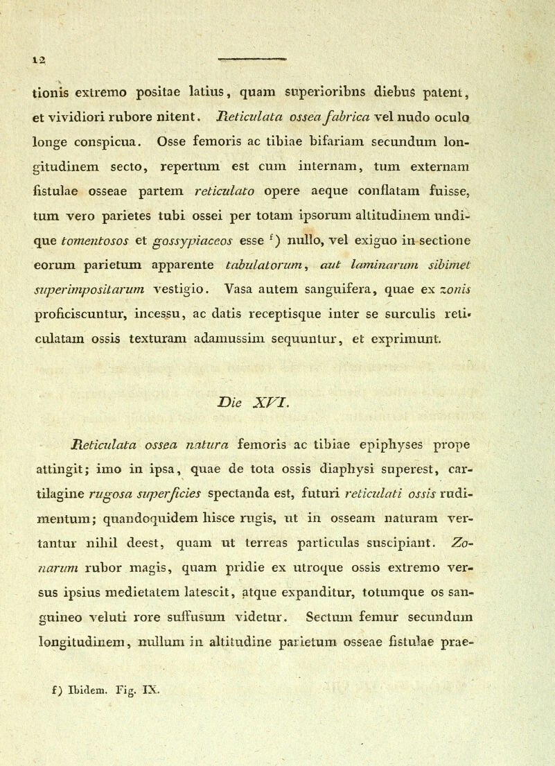 tionis extremo positae latius, quam stiperioribns diebiig patent, et vividiori rubore nitent. Heticulata ossea fahrica vel nudo oculo longe conspicua. Osse femoris ac tibiae bifariam secundum lon- gitudinem secto, repertum est cum internam, tum externam fistulae osseae partem reticulato opere aeque conflatam fuisse, tum vero parietes tubi ossei per totam ipsorum altitudinem undi- que tomentosos et gossypiaceos esse ^) nullo, vel exiguo in sectione eorum parietum apparente tabulatorum, aut laminarum sihimet superimpositarum vestigio. Vasa autem sanguifera, quae ex zonis proficiscuntur, incessu, ac datis receptisque inter se surculis reti* culatam ossis texturani adamussim sequuntur, et exprimunt. Die Xri. Heticulata ossea natura femoris ac tibiae epipliyses prope attingit; imo in ipsa, quae de tota ossis diaphysi superest, car- tilagine rugosa superjlcies spectanda est, futuri reticulati ossis rudi- mentum; quandoquidem liisce rugis, ut in osseam naturam ver- tantur nihil deest, quam ut terreas particulas suscipiant. Zo~ narum rubor magis, quam pridie ex utroque ossis extremo ver- sus ipsius medietatem latescit, atque expanditur, totumque os san- guineo veluti rore suffusmn videtur. Sectmn femur secundum longitudinem, nullum in altitudine parietum osseae fistulae prae- f) Ibidem. Fig. IX.