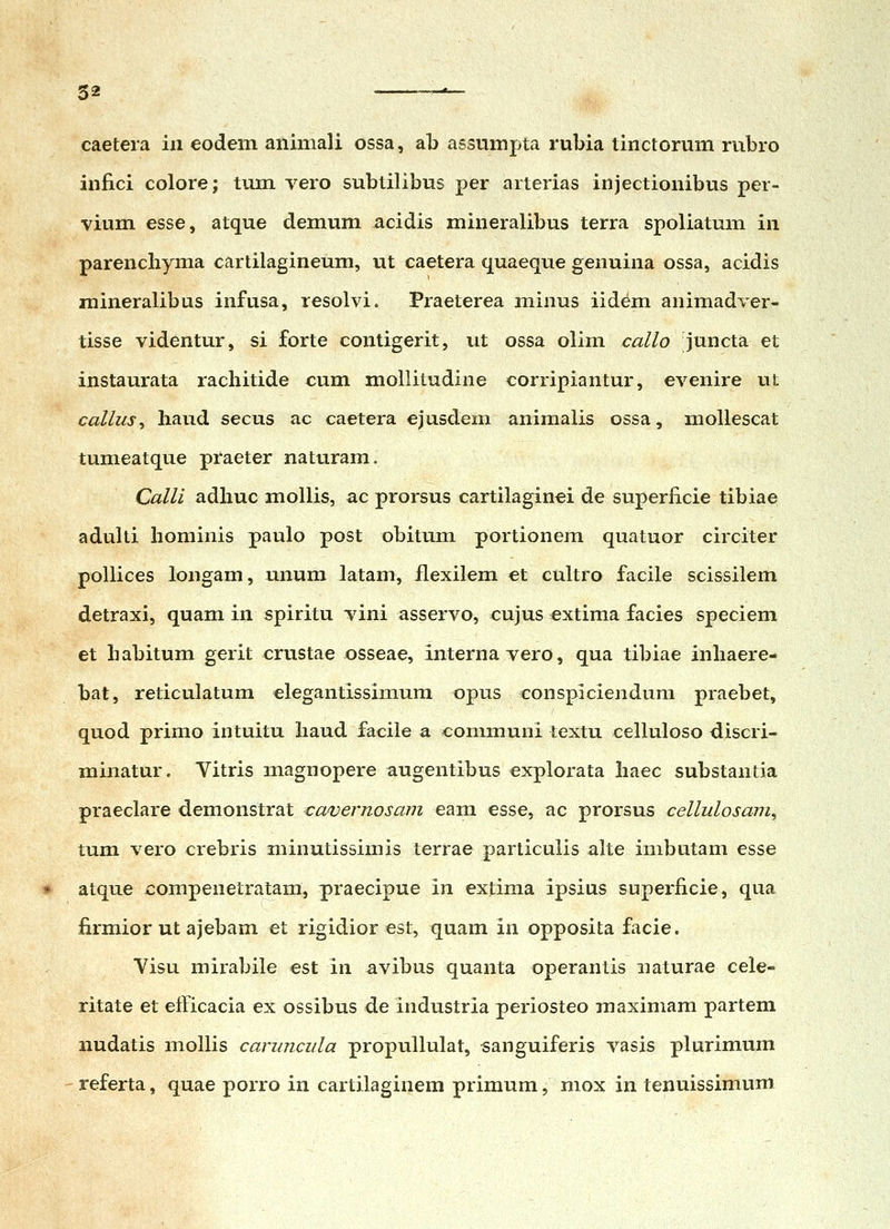 caetera iii eodem aiiimali ossa, ab assumpta rubia tinctorum rubro infici colore; tum vero subtilibus per arterias injectionibus per- vium esse, atque demum acidis mineralibus terra spoliatum in parenchyma cartilagineum, ut caetera quaeque genuina ossa, acidis mineralibus infusa, resolvi. Praeterea minus iidem animadver- tisse videntur, si forte contigerit, iit ossa olim callo juncta et instaurata rachitide cum mollitudine corripiantur, evenire ut callus^ haud secus ac caetera ejusdem animalis ossa, mollescat tumeatque praeter naturam. Calli adhuc mollis, ac prorsus cartilaginei de superficie tibiae adulti hominis paulo post obitum portionem quatuor circiter pollices longam, unum latam, flexilem et cultro facile scissilem detraxi, quam in spiritu vini asservo, cujus extima facies speciem et habitum gerit crustae osseae, internavero, qua tibiae inhaere- bat, reticulatum elegantissimum opus conspiciendum praebet, quod primo intuitu haud facile a communi lextu celluloso discri- minatur. Vitris magnopere augentibus explorata haec substantia praeclare demonstrat cavernosam eam esse, ac prorsus cellulosani^ tum vero crebris minutissimis terrae particulis alte imbutam esse atque compenetratam, praecipue in extima ipsius superficie, qua firmior ut ajebam et rigidior est, quam in opposita facie. Visu mirabile est in avibus quanta operantis iiaturae cele- ritate et etficacia ex ossibus de industria periosteo maximam partem nudatis mollis caruncula propullulat, sanguiferis vasis plurimum referta, quae porro in cartilaginem primum, niox in tenuissimum