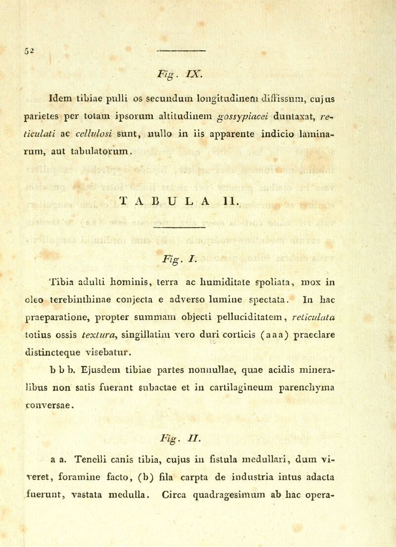 Fig. IX. Idem tibiae pulli os secundum loiigitadinem diffissum, cuj us parietes per totam ipsorum altitudinem gossypiacei duntaxat, re- ticulati ac celliilosi sunt, nullo in iis apparente indicio lamina- rum, aut tabulatorum. T A B U L A II. Fifr. I. Tibia adulti Iiominis, terra ac humiditate spoliata, mox in oleo terebinthinae conjecta e adverso lumine spectata. In Iiac praeparatione, propter summam objecti pelluciditatem, reticulata totius ossis textura., singillatim Tero duri corticis (aaa) praeciare distincteque visebatur. b b b. Ejusdem tibiae partes nonnullae, quae acidis minera- libus non satis fuerant snbactae et in cartilagineum parencliyma Tconversae. Fig. n, a a. Tenelli canis tibia, cujns in fistula medullari, dum vi- reret, foramine facto, (b) fila carpta de industria intus adacta fuerunt, vastata meduUa. Circa quadragesimum ab hac opera-