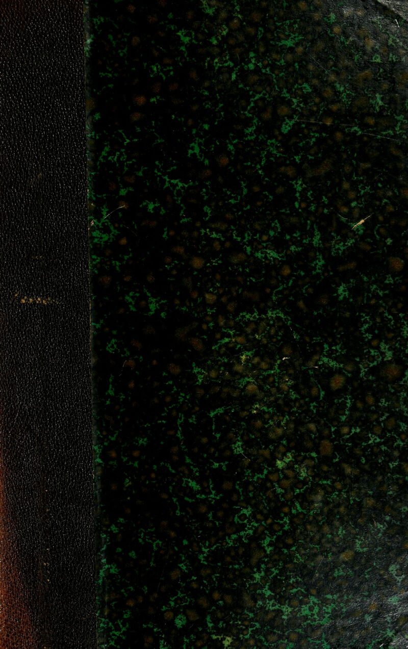 ^>>#^ :-^' -t- '^^3^ ' ^ ^<;/:^-#v> f**l ^\-^::v -^^ X .>.r -^'e':^ 3./e