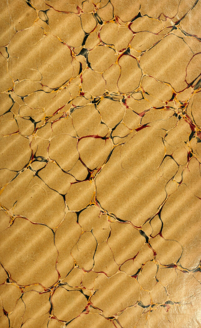 No text description is available for this image