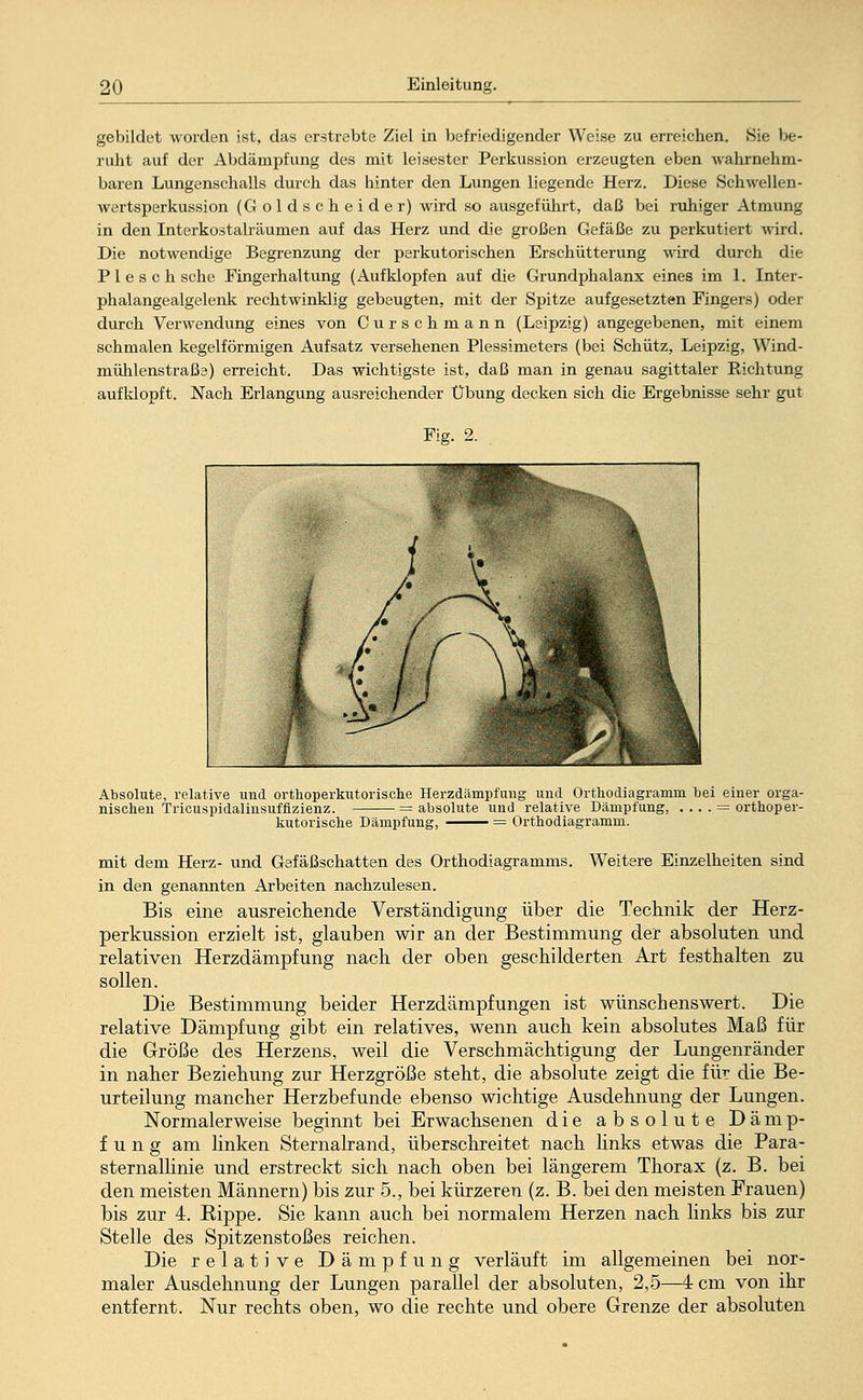 gebildet worden ist, das erstrebte Ziel in befriedigender Weise zu erreichen. Hie be- ruht auf der Abdämpfung des mit leisester Perkussion erzeugten eben wahrnehm- baren Lungenschalls durch das hinter den Lungen liegende Herz. Diese Schwellen- wertsperkussion (Goldscheide r) wird so ausgeführt, daß bei ruhiger Atmung in den Interkostalräumen auf das Herz und die großen Gefäße zu perkutiert wird. Die notwendige Begrenzung der perkutorischen Erschütterung wird durch die PI e seh sehe Fingerhaltung (Aufklopfen auf die Grundphalanx eines im 1. Inter- phalangealgelenk rechtwinklig gebeugten, mit der Spitze aufgesetzten Fingers) oder durch Verwendung eines von Curschmann (Leipzig) angegebenen, mit einem schmalen kegelförmigen Aufsatz versehenen Plessimeters (bei Schütz, Leipzig, Wind- mühlenstraße) erreicht. Das wichtigste ist, daß man in genau sagittaler Richtung aufklopft. Nach Erlangung ausreichender Übung decken sich die Ergebnisse sehr gut Fig. 2. Absolute, relative und orthoperkutorische Herzdämpfung und Orthodiagramm bei einer orga- nischen Tricuspidalinsuffizienz. = absolute und relative Dämpfung, .... = orthoper- kutorische Dämpfung, = Orthodiagramm. mit dem Herz- und Gefäßschatten des Orthodiagramms. Weitere Einzelheiten sind in den genannten Arbeiten nachzulesen. Bis eine ausreichende Verständigung über die Technik der Herz- perkussion erzielt ist, glauben wir an der Bestimmung der absoluten und relativen Herzdämpfung nach der oben geschilderten Art festhalten zu sollen. Die Bestimmung beider Herzdämpfungen ist wünschenswert. Die relative Dämpfung gibt ein relatives, wenn auch kein absolutes Maß für die Größe des Herzens, weil die Verschmächtigung der Lungenränder in naher Beziehung zur Herzgröße steht, die absolute zeigt die für die Be- urteilung mancher Herzbefunde ebenso wichtige Ausdehnung der Lungen. Normalerweise beginnt bei Erwachsenen die absolute Dämp- fung am linken Sternalrand, überschreitet nach links etwas die Para- sternallinie und erstreckt sich nach oben bei längerem Thorax (z. B. bei den meisten Männern) bis zur 5., bei kürzeren (z. B. bei den meisten Frauen) bis zur 4. Eippe. Sie kann auch bei normalem Herzen nach links bis zur Stelle des Spitzenstoßes reichen. Die relative Dämpfung verläuft im allgemeinen bei nor- maler Ausdehnung der Lungen parallel der absoluten, 2,5—4 cm von ihr entfernt. Nur rechts oben, wo die rechte und obere Grenze der absoluten
