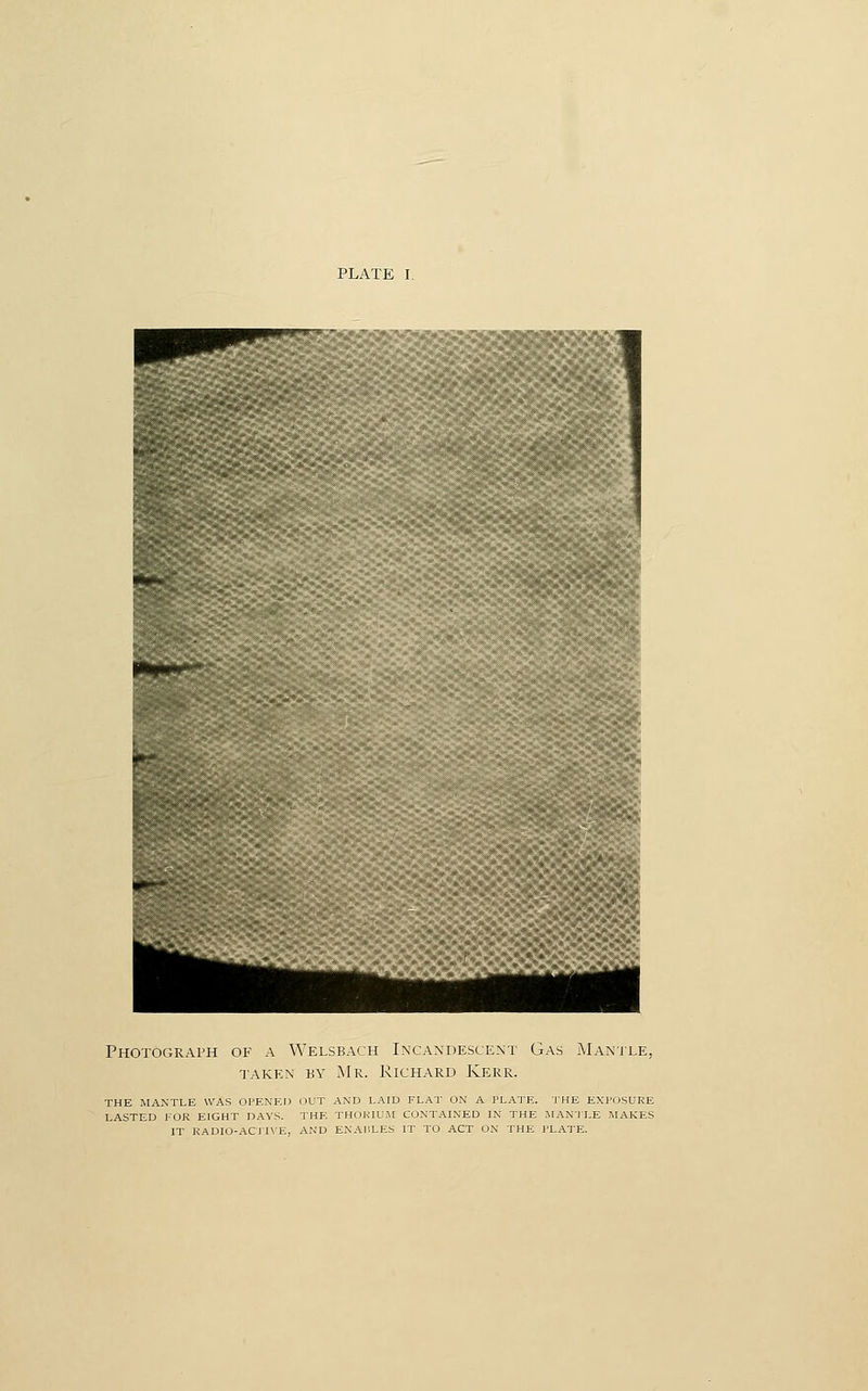 ^r Photograph of a Welsbach Incandescent Gas Manjxe, TAKEN BY MR. RICHARD KERR. THE MANTLE WAS OPENED IJUT AND LAID FLAT ON A PLATE. 'IHE EXPOSURE LASTED FOR EIGHT DAYS. THE THORIUM CONTAINED IN THE JMANJ LE MAKES IT RADIO-ACI HE, AND ENABLES IT TO ACT ON THE PLATE.