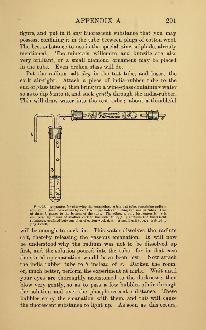 figure, and put in it any fluorescent substance that you may possess, confining it in the tube between plugs of cotton wool. The best substance to use is the special zinc sulphide, already mentioned. The minerals willemite and kunzite are also very brilliant, or a small diamond ornament may be placed in the tube. Even broken glass will do. Put the radium salt dry in the test tube, and insert the cork air-tight. Attach a piece of india-rubber tube to the end of glass tube e\ then bring up a wine-glass containing water so as to dip h into it, and suck gently through the india-rubber. This will draw water into the test tube: about a thimbleful 1=^ Fig. 28.—Apparatus for observing the connection, a is a test tube, containing radium solution. This tube is closed by a cork with two holes admitting two smaller tubes. One of these, 6, passes to the bottom of the tube. Tlie other, c, only just enters it. c is connected by means of another cork to the wider tube, /. / contains the fluorescent substance, confined between plies of cotton wool, d, d. A small exit tube, e, is fitted to / by a cork. will be enough to suck in. This water dissolves the radium salt, thereby releasing the gaseous emanation. It will now be understood why the radium was not to be dissolved up first, and the solution poured into the tube; for in that case the stored-up emanation would have been lost. Now attach the india-rubber tube to h instead of e. Darken the room, or, much better, perform the experiment at night. Wait until your eyes are thoroughly accustomed to the darkness ; then blow very gently, so as to pass a few bubbles of air through the solution and over the phosphorescent substance. These bubbles carry the emanation with them, and this will cause the fluorescent substance to light up. As soon as this occurs,