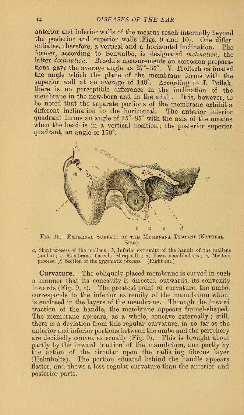 anterior and inferior walls of the meatus reach internally beyond the posterior and superior walls (Figs. 9 and 10). One differ- entiates, therefore, a vertical and a horizontal inclination. The former, according to Schwalbe, is designated inclination, the latter declination. Bezold's measurements on corrosion prepara- tions gave the average angle as 27°-35°. V. Troltsch estimated the angle which the plane of the membrane forms with the superior wall at an average of 140°. According to J. Pollak, there is no perceptible difference in the inclination of the membrane in the new-born and in the adult. It is, however, to be noted that the separate portions of the membrane exhibit a different inclination to the horizontal. The anterior inferior quadrant formsan angle of 75°-85° with the axis of the meatus when the head is in a vertical position; the posterior superior quadrant, an angle of 150°. Fig. 15.—External Surface of the Membrana Tympani (Natural Size). a, Short process of the malleus ; b, Inferior extremity of the handle of the malleus (umbo) ; c, Membrana flaccida Shrapnelli ; d, Fossa mandibulars ; c, Mastoid process ; /, Section of the zygomatic process. (Right ear.) Curvature.—The obliquely-placed membrane is curved in such a manner that its concavity is directed outwards, its convexity inwards (Fig. 9, c). The greatest point of curvature, the umbo, corresponds to the inferior extremity of the manubrium which is enclosed in the layers of the membrane. Through the inward traction of the handle, the membrane appears funnel-shaped. The membrane appears, as a whole, concave externally ; still, there is a deviation from this regular curvature, in so far as the anterior and inferior portions between the umbo and the periphery are decidedly convex externally (Fig. 9). This is brought about partly by the inward traction of the manubrium, and partly by the action of the circular upon the radiating fibrous layer (Helmholtz). The portion situated behind the handle appears flatter, and shows a less regular curvature than the anterior and posterior parts.