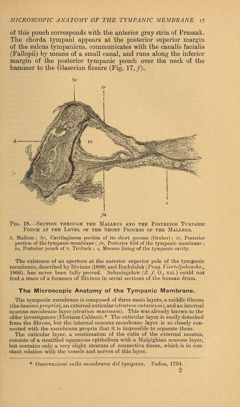 of this pouch corresponds with the anterior gray stria of Prussak. The chorda tympani appears at the posterior superior margin of the sulcus tympanicus, communicates with the canalis facialis (Fallopii) by means of a small canal, and runs along the inferior margin of the posterior tympanic pouch over the neck of the hammer to the Glaserian fissure (Fig. 11, f). Via. 18.—Section through the Malleus and the Posterior Tympanic Pouch at the Level of the Short Process of the Malleus. h, Malleus ; br, Cartilaginous portion of its short process (Gruber); tr. Posterior portion of the tympanic membrane ; fa, Posterior fold of the tympanic membrane ; ta, Posterior pouch of v. Troltsch ; s, Mucous lining of the tympanic cavity. The existence of an aperture at the anterior superior pole of the tympanic membrane, described by Rivinus (1689) and Bochdalek (Prag. Viertety'ahrschr., 1866), has never been fully proved. Schmiegelow (Z.f. 0., xxi.) could not find a trace of a foramen of Rivinus in serial sections of the human drum. The Microscopic Anatomy of the Tympanic Membrane. The tympanic membrane is composed of three main layers, a middle fibrous (the lamina propria), an external cuticular (stratum cutaneum), and an internal mucous membrane layer (stratum mucosum). This was already known to the older investigators (Floriano Caldani).* The cuticular layer is easily detached from the fibrous, but the internalmucous membrane layer is so closely con- nected with the membrana propria that it is impossible to separate them. The cuticular layer, a continuation of the cutis of the external meatus, consists of a stratified squamous epithelium with a Malpighian mucous layer, but contains only a very slight stratum of connective tissue, which is in con- stant relation with the vessels and nerves of this layer. * Osservazioni sulla membrana del tympano. Padua, 1794. 2