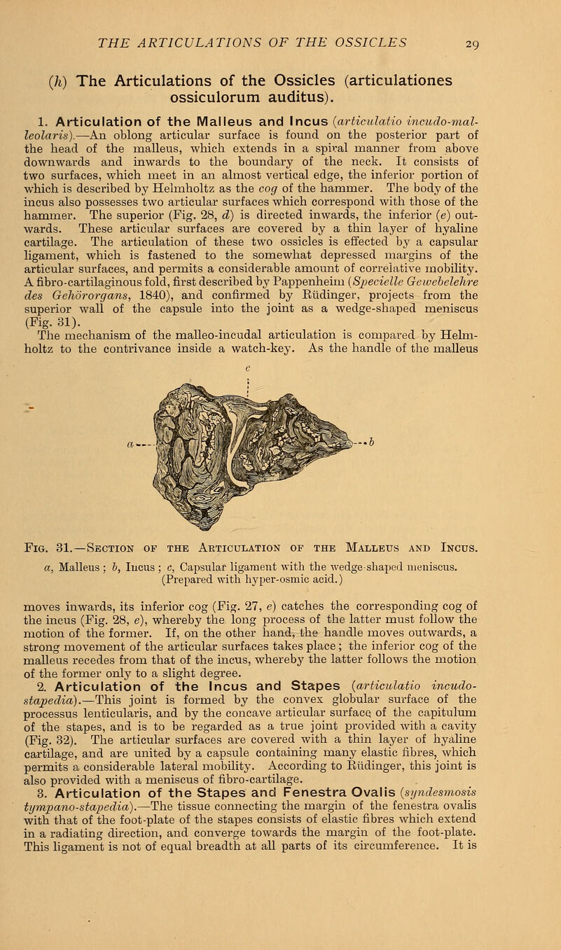 (h) The Articulations of the Ossicles (articulationes ossiculorum auditus). 1. Articulation of the Malleus and Incus (articulatio incudo-mal- leolaris).—An oblong articular surface is found on the posterior part of the head of the malleus, which extends in a spiral manner from above downwards and inwards to the boundary of the neck. It consists of two surfaces, which meet in an almost vertical edge, the inferior portion of which is described by Helmholtz as the cog of the hammer. The body of the incus also possesses two articular surfaces which correspond with those of the hammer. The superior (Fig. 28, d) is directed inwards, the inferior (e) out- wards. These articular surfaces are covered by a thin layer of hyaline cartilage. The articulation of these two ossicles is effected by a capsular ligament, which is fastened to the somewhat depressed margins of the articular surfaces, and permits a considerable amount of correlative mobility. A fibro-cartilaginous fold, first described by Pappenheim (Specielle Gewebelehre des Gehororgans, 1840), and confirmed by Kiidinger, projects from the superior wall of the capsule into the joint as a wedge-shaped meniscus (Fig. 31). The mechanism of the malleo-incudal articulation is compared by Helm- holtz to the contrivance inside a watch-key. As the handle of the malleus -6 Fig. 31.—Section of the Articulation of the Malleus and Incus. a, Malleus ; h, Iucus ; c, Capsular ligament with the wedge-shaped meniscus. (Prepared with hyper-osmic acid.) moves inwards, its inferior cog (Fig. 27, e) catches the corresponding cog of the incus (Fig. 28, e), whereby the long process of the latter must follow the motion of the former. If, on the other hand, the handle moves outwards, a strong movement of the articular surfaces takes place; the inferior cog of the malleus recedes from that of the incus, whereby the latter follows the motion of the former only to a slight degree. 2. Articulation of the Incus and Stapes (articulatio incudo- stapedia).—This joint is formed by the convex globular surface of the processus lenticularis, and by the concave articular surface of the capitulum of the stapes, and is to be regarded as a true joint provided with a cavity (Fig. 32). The articular surfaces are covered with a thin layer of hyaline cartilage, and are united by a capsule containing many elastic fibres, which permits a considerable lateral mobility. According to Eiidinger, this joint is also provided with a meniscus of fibro-cartilage. 3. Articulation of the Stapes and Fenestra Oval is (syndesmosis tympano-stapedia).—The tissue connecting the margin of the fenestra ovalis with that of the foot-plate of the stapes consists of elastic fibres which extend in a radiating direction, and converge towards the margin of the foot-plate. This ligament is not of equal breadth at all parts of its circumference. It is