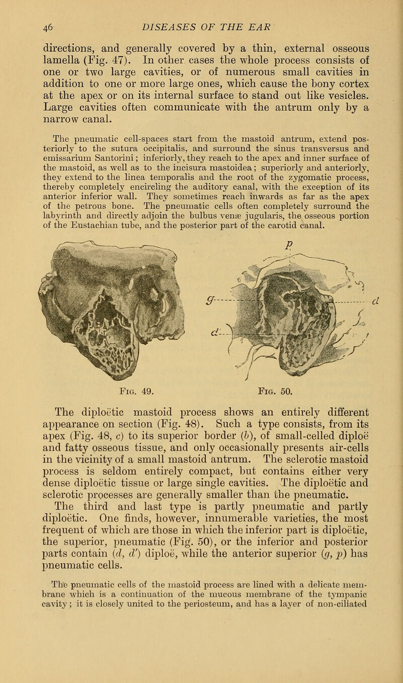 directions, and generally covered by a thin, external osseous lamella (Fig. 47). In other cases the whole process consists of one or two large cavities, or of numerous small cavities in addition to one or more large ones, which cause the bony cortex at the apex or on its internal surface to stand out like vesicles. Large cavities often communicate with the antrum only by a narrow canal. The pneumatic cell-spaces start from the mastoid antrum, extend pos- teriorly to the sutura occipitalis, and surround the sinus transversus and emissariurn Santorini; inferiorly, they reach to the apex and inner surface of the mastoid, as well as to the incisura mastoidea; superiorly and anteriorly, they extend to the linea temporalis and the root of the zygomatic process, thereby completely encircling the auditory canal, with the exception of its anterior inferior wall. They sometimes reach inwards as far as the apex of the petrous bone. The pneumatic cells often completely surround the labyrinth and directly adjoin the bulbus venae jugularis, the osseous portion of the Eustachian tube, and the posterior part of the carotid canal. Fig. 49. Fig. 50. The diploetic mastoid process shows an entirely different appearance on section (Fig. 48). Such a type consists, from its apex (Fig. 48, c) to its superior border (b), of small-celled diploe and fatty osseous tissue, and only occasionally presents air-cells in the vicinity of a small mastoid antrum. The sclerotic mastoid process is seldom entirely compact, but contains either very dense diploetic tissue or large single cavities. The diploetic and sclerotic processes are generally smaller than the pneumatic. The third and last type is partly pneumatic and partly diploetic. One finds, however, innumerable varieties, the most frequent of which are those in which the inferior part is diploetic, the superior, pneumatic (Fig. 50), or the inferior and posterior parts contain (d, d') diploe, while the anterior superior (g, p) has pneumatic cells. The pneumatic cells of the mastoid process are lined with a delicate mem- brane which is a continuation of the mucous membrane of the tympanic cavity ; it is closely united to the periosteum, and has a layer of non-ciliated