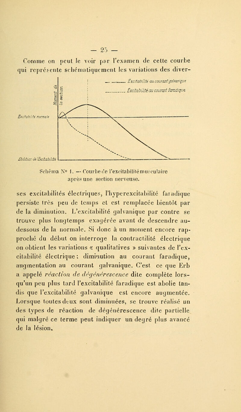 Comme on peul le voir par l'examen de celle courbe qui représente schémaliquement les variations des diver- , Excitabilité au conranlgalvmique . Excitabilité au courant famdique Excitabilité normale Âbdiiwr. de ïExliabiliU Scliéma N» \. — Courbe de l'excitabililémiifculaire après une section nerveuse. ses excitabilités électriques, l'iiyperexcitabilité faradique persiste très peu de temps et est remplacée bientôt par de la diminution. L'excitabilité galvanique par contre se trouve plus longtemps exagérée avant de descendre au- dessous de la normale. Si donc à un moment encore rap- proché du début on interroge la contractilité électrique on obtient les variations « qualitatives » suivantes de l'ex- citabilité électrique ; diminution au courant faradique, augmentation au courant galvanique. C'est ce que Erb a appelé réaction de dégénérescence dite complète lors- qu'un peu plus tard l'excitabilité faradique est abolie tan- dis que l'excitabilité galvanique est encore augmentée. Lorsque toutes deux sont diminuées, se trouve réalisé un des types de réaction de dégénérescence dite partielle qui malgré ce terme peut indiquer un degré plus avancé de la lésion.