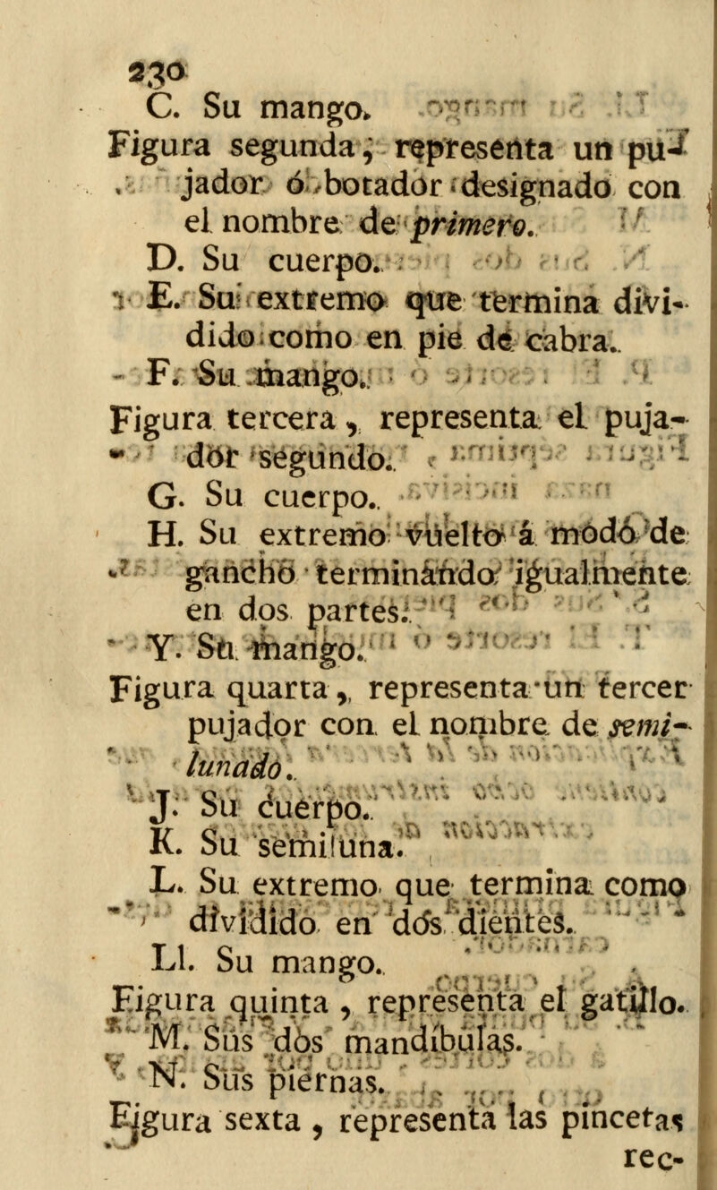 C. Su mango. Figura segunda v representa un pu^ jador ó.botador.designado con el nombre de primero. D. Su cuerpo. E. Su: extremo que termina divi- dido: como en pie dé cabra. - F. *Su .mango. Figura tercera r representa: el puja- - dór segundo. G. Su cuerpo. H. Su extremo vuelta á modo de gancho terminando igualmente en dos partes. ' Y. Sti liíango. Figura quarta,, representa-un tercer pujador coa ei nombre de wmi-- ' lunado. J. Su ¿uérpo. K. Su semiluna/ m L. Su extremo que termina, como ' dividido en clds dientes. Ll. Su mango. Figura quinta , representa el gatillo. ~'M, Sus dos mandíbulas. N. Sus piernas. ( Eigura sexta , representa las pinceta* rec-