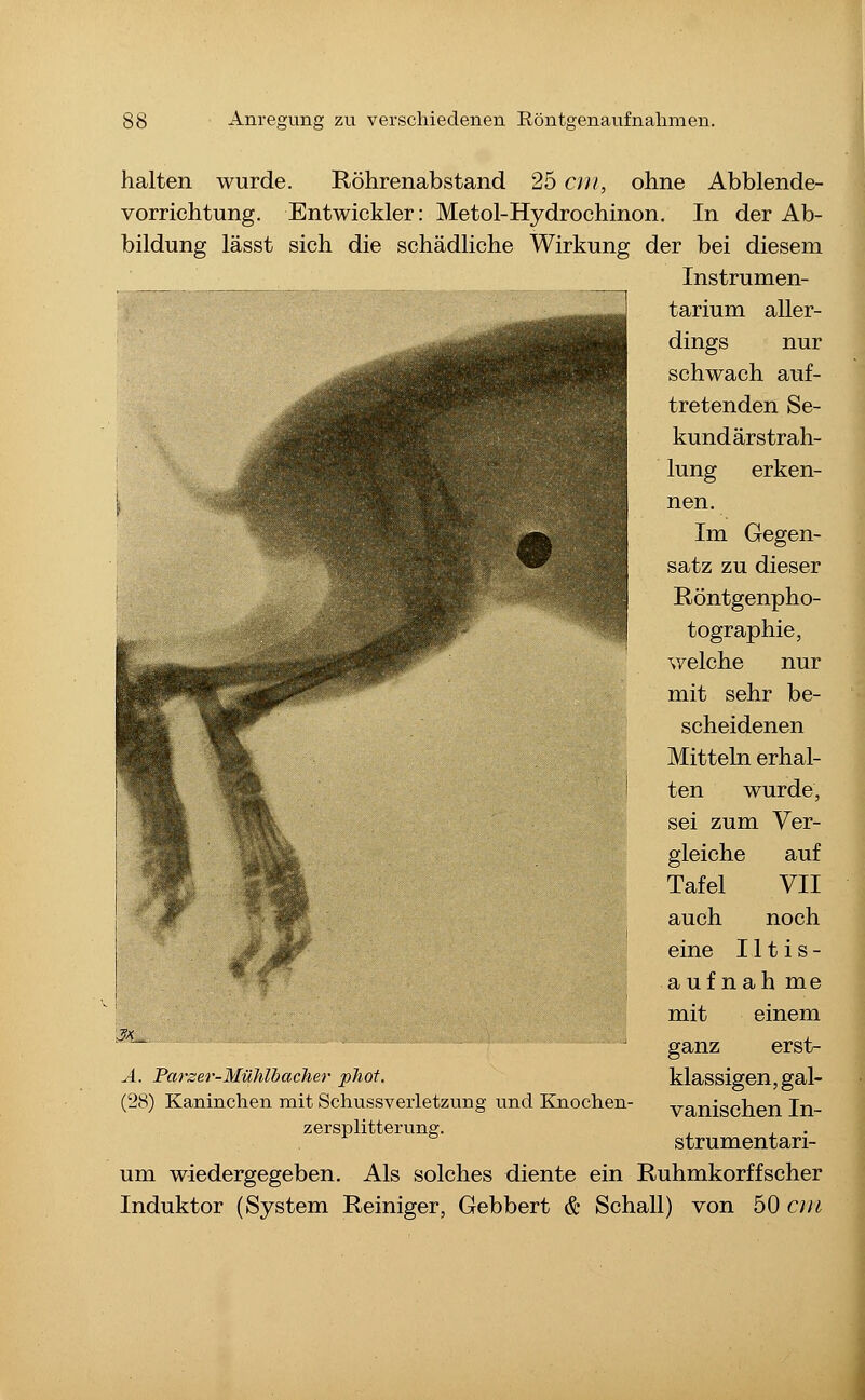 halten wurde. Röhrenabstand 25 cm, ohne Abblende- vorrichtung. Entwickler: Metol-Hydrochinon, In der Ab- bildung lässt sich die schädliche Wirkung der bei diesem Instrumen- tarium aller- dings nur schwach auf- tretenden Se- kundärstrah- lung erken- nen. Im Gegen- satz zu dieser Röntgenpho- tographie, welche nur mit sehr be- scheidenen Mitteln erhal- ten wurde, sei zum Ver- gleiche auf Tafel VII auch noch eine Iltis- aufnah me mit einem ganz erst- klassigen, gal- vanischen In- strumentari- um wiedergegeben. Als solches diente ein Ruhmkorffscher Induktor (System Reiniger, Gebbert & Schall) von 50 on A. Parser-Mühlbacher phof. (28) Kaninchen mit Schussveiietzung und Knochen- zersplitterung.