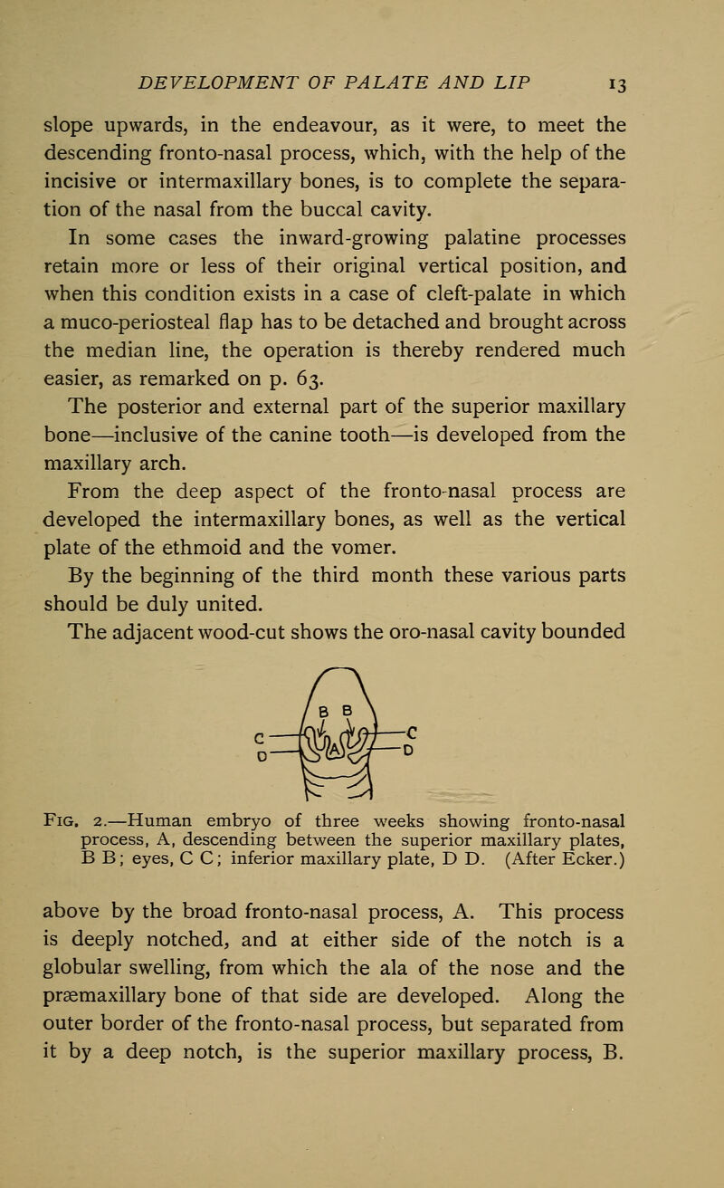 slope upwards, in the endeavour, as it were, to meet the descending fronto-nasal process, which, with the help of the incisive or intermaxillary bones, is to complete the separa- tion of the nasal from the buccal cavity. In some cases the inward-growing palatine processes retain more or less of their original vertical position, and when this condition exists in a case of cleft-palate in which a muco-periosteal flap has to be detached and brought across the median line, the operation is thereby rendered much easier, as remarked on p. 63. The posterior and external part of the superior maxillary bone—inclusive of the canine tooth—is developed from the maxillary arch. From the deep aspect of the fronto-nasal process are developed the intermaxillary bones, as well as the vertical plate of the ethmoid and the vomer. By the beginning of the third month these various parts should be duly united. The adjacent wood-cut shows the oro-nasal cavity bounded Fig. 2.—Human embryo of three weeks showing fronto-nasal process, A, descending between the superior maxillary plates, B B; eyes, C C; inferior maxillary plate, D D. (After Ecker.) above by the broad fronto-nasal process, A. This process is deeply notched, and at either side of the notch is a globular swelling, from which the ala of the nose and the prsemaxillary bone of that side are developed. Along the outer border of the fronto-nasal process, but separated from it by a deep notch, is the superior maxillary process, B.