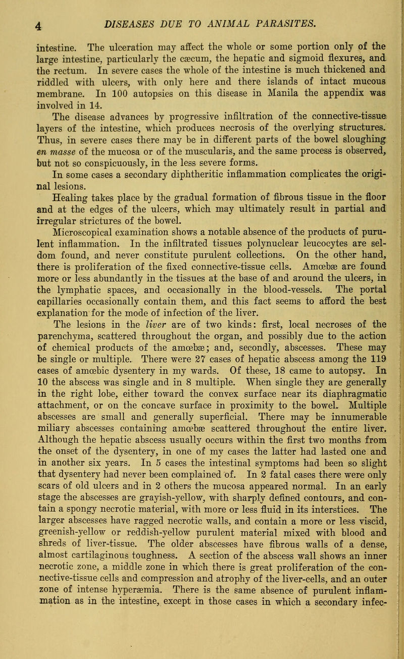 intestine. The ulceration may affect the whole or some portion only of the large intestine, particularly the csecum, the hepatic and sigmoid flexures, and the rectum. In severe cases the whole of the intestine is much thickened and riddled with ulcers, with only here and there islands of intact mucous membrane. In 100 autopsies on this disease in Manila the appendix was involved in 14. The disease advances by progressive infiltration of the connective-tissue layers of the intestine, which produces necrosis of the overlying structures. Thus, in severe cases there may be in different parts of the bowel sloughing en masse of the mucosa or of the muscularis, and the same process is observed, but not so conspicuously, in the less severe forms. In some cases a secondary diphtheritic inflammation complicates the origi- nal lesions. Healing takes place by the gradual formation of fibrous tissue in the floor and at the edges of the ulcers, which may ultimately result in partial and irregular strictures of the bowel. Microscopical examination shows a notable absence of the products of puru- lent inflammation. In the infiltrated tissues polynuclear leucocytes are sel- dom found, and never constitute purulent collections. On the other hand, there is proliferation of the fixed connective-tissue cells. Amoeba? are found more or less abundantly in the tissues at the base of and around the ulcers, in the lymphatic spaces, and occasionally in the blood-vessels. The portal capillaries occasionally contain them, and this fact seems to afford the best explanation for the mode of infection of the liver. The lesions in the liver are of two kinds: first, local necroses of the parenchyma, scattered throughout the organ, and possibly due to the action of chemical products of the amoeba?; and, secondly, abscesses. These may be single or multiple. There were 27 cases of hepatic abscess among the 119 cases of amoebic dysentery in my wards. Of these, 18 came to autopsy. In 10 the abscess was single and in 8 multiple. When single they are generally in the right lobe, either toward the convex surface near its diaphragmatic attachment, or on the concave surface in proximity to the bowel. Multiple abscesses are small and generally superficial. There may be innumerable miliary abscesses containing amoebae scattered throughout the entire liver. Although the hepatic abscess usually occurs within the first two months from the onset of the dysentery, in one of my cases the latter had lasted one and in another six years. In 5 cases the intestinal symptoms had been so slight that dysentery had never been complained of. In 2 fatal cases there were only scars of old ulcers and in 2 others the mucosa appeared normal. In an early stage the abscesses are grayish-yellow, with sharply defined contours, and con- tain a spongy necrotic material, with more or less fluid in its interstices. The larger abscesses have ragged necrotic walls, and contain a more or less viscid, greenish-yellow or reddish-yellow purulent material mixed with blood and shreds of liver-tissue. The older abscesses have fibrous walls of a dense, almost cartilaginous toughness. A section of the abscess wall shows an inner necrotic zone, a middle zone in which there is great proliferation of the con- nective-tissue cells and compression and atrophy of the liver-cells, and an outer zone of intense hyperemia. There is the same absence of purulent inflam- mation as in the intestine, except in those cases in which a secondary infec-