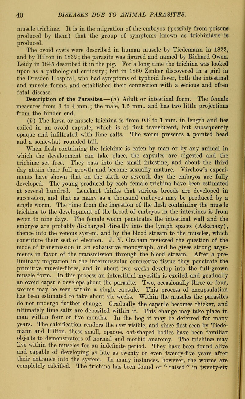 muscle trichina?. It is in the migration of the embryos (possibly from poisons produced by them) that the group of symptoms known as trichiniasis is produced. The ovoid cysts were described in human muscle by Tiedemann in 1822, and by Hilton in 1832; the parasite was figured and named by Richard Owen. Leidy in 1845 described it in the pig. For a long time the trichina was looked upon as a pathological curiosity; but in 1860 Zenker discovered in a girl in the Dresden Hospital, who had symptoms of typhoid fever, both the intestinal and muscle forms, and established their connection with a serious and often fatal disease. Description of the Parasites.—(a) Adult or intestinal form. The female measures from 3 to 4 mm.; the male, 1.5 mm., and has two little projections from the hinder end. (&) The larva or muscle trichina is from 0.6 to 1 mm. in length and lies coiled in an ovoid capsule, which is at first translucent, but subsequently opaque and infiltrated with lime salts. The worm presents a pointed head and a somewhat rounded tail. When flesh containing the trichina? is eaten by man or by any animal in which the development can take place, the capsules are digested and the trichina? set free. They pass into the small intestine, and about the third day attain their full growth and become sexually mature. Virchow's experi- ments have shown that on the sixth or seventh day the embryos are fully developed. The young produced by each female trichina have been estimated at several hundred. Leuckart thinks that various broods are developed in succession, and that as many as a thousand embryos may be produced by a single worm. The time from the ingestion of the flesh containing the muscle trichina? to the development of the brood of embryos in the intestines is from seven to nine days. The female worm penetrates the intestinal wall and the embryos are probably discharged directly into the lymph spaces (Askanazy), thence into the venous system, and by the blood stream to the muscles, which constitute their seat of election. J. Y. Graham reviewed the question of the mode of transmission in an exhaustive monograph, and he gives strong argu- ments in favor of the transmission through the blood stream. After a pre- liminary migration in the intermuscular connective tissue they penetrate the primitive muscle-fibres, and in about two weeks develop into the full-grown muscle form. In this process an interstitial myositis is excited and gradually an ovoid capsule develops about the parasite. Two, occasionally three or four, worms may be seen within a single capsule. This process of encapsulation has been estimated to take about six weeks. Within the muscles the parasites do not undergo further change. Gradually the capsule becomes thicker, and ultimately lime salts are deposited within it. This change may take place in man within four or five months. In the hog it may be deferred for many years. The calcification renders the cyst visible, and since first seen by Tiede- mann and Hilton, these small, opaque, oat-shaped bodies have been familiar objects to demonstrators of normal and morbid anatomy. The trichinae may live within the muscles for an indefinite period. They have been found alive and capable of developing as late as twenty or even twenty-five years after their entrance into the system. In many instances, however, the worms are completely calcified. The trichina has been found or  raised  in twenty-six