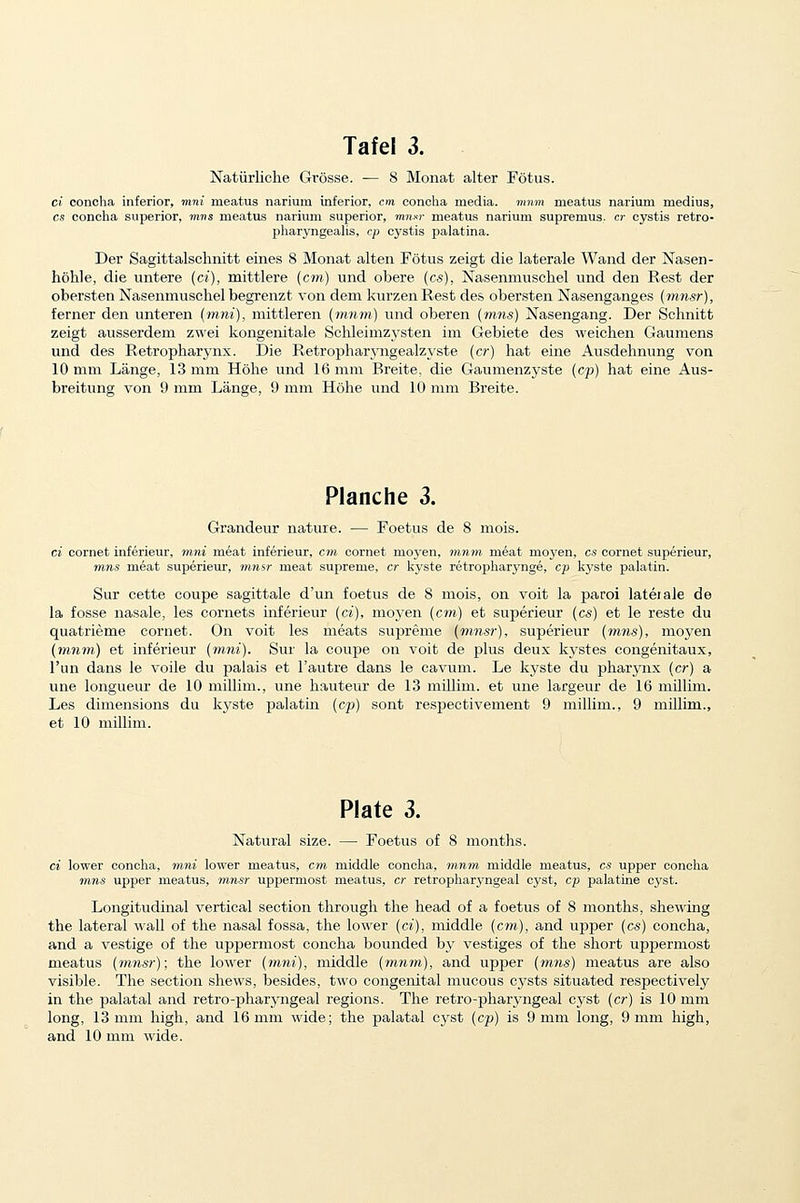 Natiirliche Grosse. — 8 Monat alter Fotus. ci concha inferior, mni meatus narium inferior, cm conclia media. 7?i?«?! meatus narium medius, cs concha superior, nins meatus narium superior, mnsr meatus narium supremus. cr cystis retro- pharyngeaUs, cp cystis palatina. Der Sagittalschnitt eines 8 Monat alten Fotus zeigt die laterale Wand der Nasen- hohle, die iintere (ci), mittlere (cm) und obere (cs), Nasenmuschel und den Rest der oberstenNaseumuschelbegrenzt von dem l\urzenRest des obersten Nasenganges (mnsr), ferner den unteren (mni), mittleren (mnm) und oberen (mns) Nasengang. Der Schnitt zeigt ausserdem zwei kongenitale Sclileimzysten im Gebiete des weichen Gaumens und des Retropharynx. Die Retrophar3'ngealzyste (cr) hat eine Ausdehnung von 10 mm Lange, 13 mm Holie und 16 ram Breite, die Gaumenzyste (cp) hat eine Aus- breitung von 9 mm Lange, 9 mm Hohe und 10 mm Breite. Planche 3. Grandeur nature. — Foetus de 8 mois. ci cornet inferieur, mni meat inferieur, cm cornet moyen, mnm meat moyen, cs cornet sup6rieur, mns meat superieur, mnsi' meat supreme, cr kyste retropharynge, cp kj'ste palatin. Sur cette coupe sagittale d'un foetus de 8 mois, on voit la parol lateiale de la fosse nasale, les cornets inferieur (ci), moj'en (cm) et superieur (cs) et le reste du quatrieme cornet. On voit les meats supreme (mnsr), superieur (mns), moyen (mnm) et inferieur (mni), Sur la coupe on voit de plus deux kj^stes congenitaux, I'un dans le voile du palais et I'autre dans le cavum. Le kyste du pharjoix (cr) a une longueur de 10 millim., une hauteur de 13 millim. et une largeur de 16 millim. Les dimensions du kj^ste palatin (cp) sont respeetivement 9 millim., 9 millim., et 10 millim. Plate 3. Natural size. — Foetus of 8 months. ci lower concha, mni lower meatus, cm middle concha, mnm middle meatus, cs upper concha m,ns upper meatus, mnsr uppermost meatus, cr retropharyngeal cyst, cp palatine cyst. Longitudinal vertical section through the head of a foetus of 8 months, shewing the lateral wall of the nasal fossa, the lower (ci), middle (cm), and upper (cs) concha, and a vestige of the uppermost concha bounded by vestiges of the short uppermost meatus (mnsr); the lower (mni), middle (mnm), and upper (mns) meatus are also visible. The section shews, besides, two congenital mucous cysts situated respectively in the palatal and retro-pharyngeal regions. The retro-pharj-ngeal cyst (cr) is 10 mm long, 13 mm high, and 16 mm wide; the palatal cj^st (cp) is 9 mm long, 9 mm high, and 10 mm wide.