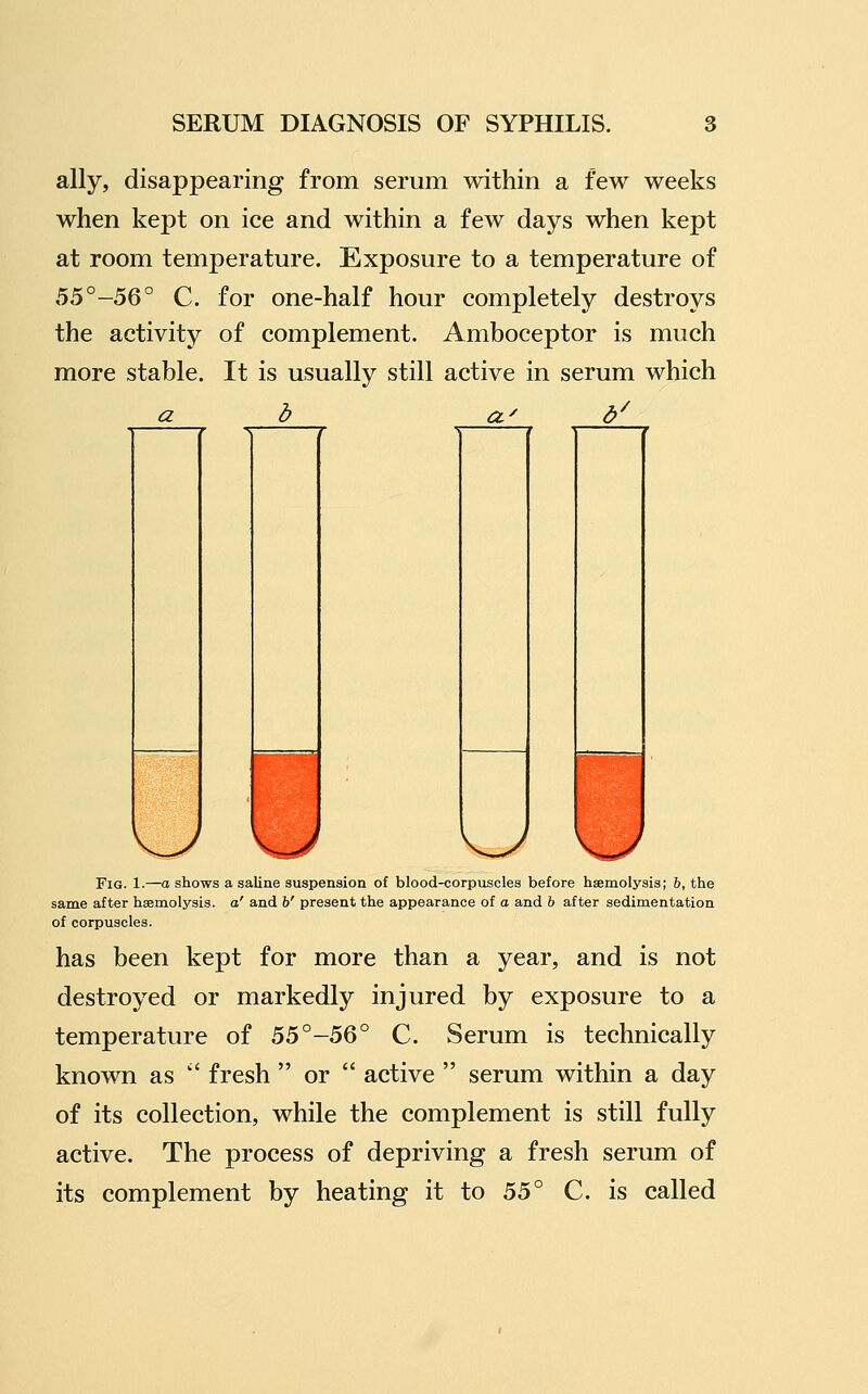 ally, disappearing from serum within a few weeks when kept on ice and within a few days when kept at room temperature. Exposure to a temperature of 55°-56° C. for one-half hour completely destroys the activity of complement. Amboceptor is much more stable. It is usually still active in serum which a CL- i Fig. 1.—a shows a saline suspension of blood-corpuscles before hsemolysis; 6, the same after haemolysis, a' and h' present the appearance of a and h after sedimentation of corpuscles. has been kept for more than a year, and is not destroyed or markedly injured by exposure to a temperature of 55°-56° C. Serum is technically known as  fresh  or  active  serum within a day of its collection, while the complement is still fully active. The process of depriving a fresh serum of its complement by heating it to hb° C. is called