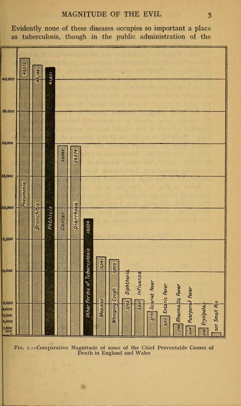 Evidently none of these diseases occupies so important a place as tuberculosis, though in the public administration of the Fig. I.—Comparative Magnitude of some of the Chief Preventable Causes of Death in England and Wales