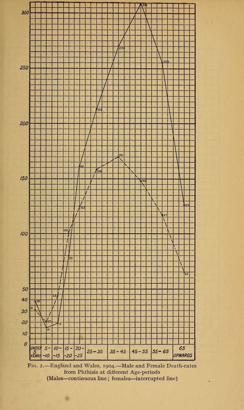 —N ~^ —1 •riMM ** kMi - SI —  *- H— ~1 ■M - \ 1 J \ / y / \ / 1 y ^ / \i 1 27< \ 1 \ 1 \ ?■! . \ \ \ 1 , '213 \ / \ / \ \ 170 \ \ \ ifii '' \ \ / <5e \ / / \ / ' '\ ll4i 1 / \ 1 / \, / s, (, \ l?K / li! \ / \ 1117 \ A \ 102 i\ \ 1 1 \ ■ 1 1 \ 1 j 1 \ 1 80 \ 1 \ 1 65 1 1 1 uJ f / 31 v 1 'N^ 1 L ,^ ^ 19 15 UNDO 5 5- ~I0 10- -15 15- -ZO 20- -25 25-35 35-45 45-55 55-65 65 UPWARDS Fig. 2.—England and Wales, 1904.—Male and Female Death-rates from Phthisis at different Age-periods (Males—continuous line; females—interrupted line)