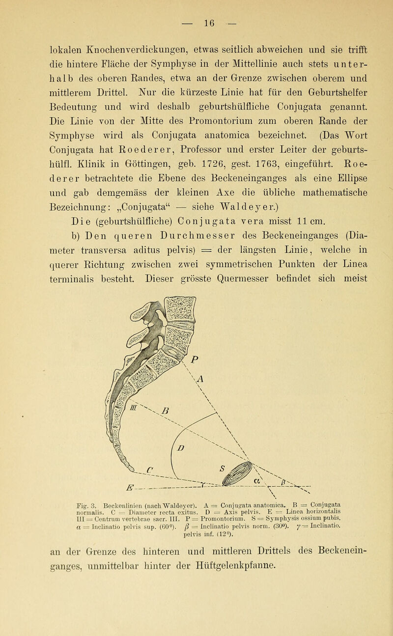 lokalen Knochenverdickungen, etwas seitlich abweichen und sie trifft die hintere Fläche der Symphyse in der Mittellinie auch stets unter- halb des oberen Randes, etwa an der Grenze zwischen oberem und mittlerem Drittel. Nur die kürzeste Linie hat für den Geburtshelfer Bedeutung und wird deshalb geburtshülfliche Conjugata genannt. Die Linie von der Mitte des Promontorium zum oberen Rande der Symphyse wird als Conjugata anatomica bezeichnet. (Das Wort Conjugata hat Roederer, Professor und erster Leiter der geburts- hülfl. Klinik in Göttingen, geb. 1726, gest. 1763, eingeführt. Roe- derer betrachtete die Ebene des Beckeneinganges als eine Ellipse und gab demgemäss der kleinen Axe die übliche mathematische Bezeichnung: „Conjugata — siehe Waldeyer.) Die (geburtshülfliche) Conjugata vera misst 11cm. b)Den queren Durchmesser des Beckeneinganges (Dia- meter transversa aditus pelvis) = der längsten Linie, welche in querer Richtung zwischen zwei symmetrischen Punkten der Linea terminalis besteht. Dieser grösste Quermesser befindet sich meist Fig. 3. Beckenlinien (nach Waldeyer). A = Conjugata anatomica. B = Conjugata normalis. C = Diameter recta exitus. D = Axis pelvis. E = Linea horizontalis UI = Centrum vertebrae sacr. III. P = Promontorium. S == Symphysis ossium pubis. a = Inclinatio pelvis sup. (COO). /? = Inclinatio pelvis norm. (30»). y ■= Inclinatio. pelvis inf. (12°). an der Grenze des hinteren und mittleren Drittels des Beckenein- ganges, unmittelbar hinter der Hüftgelenkpfanne.