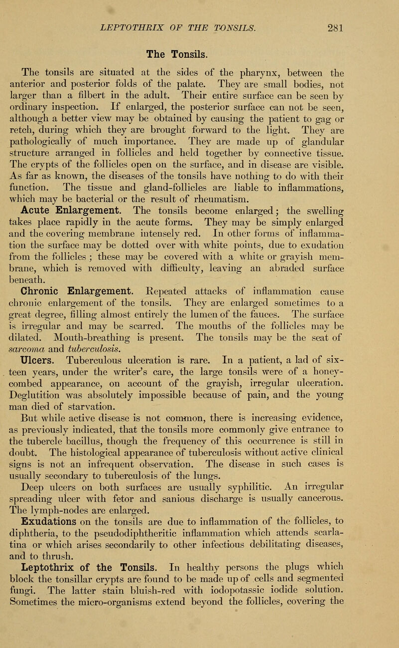 The Tonsils. The tonsils are situated at the sides of the pharynx, between the anterior and posterior folds of the palate. They are small bodies, not larger than a filbert in the adult. Their entire surface can be seen by ordinary inspection. If enlarged, the posterior surface can not be seen, although a better view may be obtained by causing the patient to gag or retch, during which they are brought forward to the light. They are pathologically of much importance. They are made up of glandular structure arranged in follicles and held together by connective tissue. The crypts of the follicles open on the surface, and in disease are visible. As far as known, the diseases of the tonsils have nothing to do with their function. The tissue and gland-follicles are liable to inflammations, which may be bacterial or the result of rheumatism. Acute Enlargement. The tonsils become enlarged; the swelling takes place rapidly in the acute forms. They may be simply enlarged and the covering membrane intensely red. In other forms of inflamma- tion the surface may be dotted over with white points, due to exudation from the follicles ; these may be covered with a white or grayish mem- brane, which is removed with difficulty, leaving an abraded surface beneath. Chronic Enlargement. Eepeated attacks of inflammation cause chronic enlargement of the tonsils. They are enlarged sometimes to a great degree, filling almost entirely the lumen of the fauces. The surface is irregular and may be scarred. The mouths of the follicles may be dilated. Mouth-breathing is present. The tonsils may be the seat of sarcoma and tuberculosis. Ulcers. Tuberculous ulceration is rare. In a patient, a lad of six- teen years, under the writer's care, the large tonsils were of a honey- combed appearance, on account of the grayish, irregular ulceration. Deglutition was absolutely impossible because of pain, and the young man died of starvation. But while active disease is not common, there is increasing evidence, as previously indicated, that the tonsils more commonly give entrance to the tubercle bacillus, though the frequency of this occurrence is still in doubt. The histological appearance of tuberculosis without active clinical signs is not an infrequent observation. The disease in such cases is usually secondary to tuberculosis of the lungs. Deep ulcers on both surfaces are usually syphilitic. An irregular spreading ulcer with fetor and sanious discharge is usually cancerous. The lymph-nodes are enlarged. Exudations on the tonsils are due to inflammation of the follicles, to diphtheria, to the pseudodiphtheritic inflammation which attends scarla- tina or which arises secondarily to other infectious debilitating diseases, and to thrush. Leptothrix of the Tonsils. In healthy persons the plugs which block the tonsillar crypts are found to be made up of cells and segmented fungi. The latter stain bluish-red with iodopotassic iodide solution. Sometimes the micro-organisms extend beyond the follicles, covering the