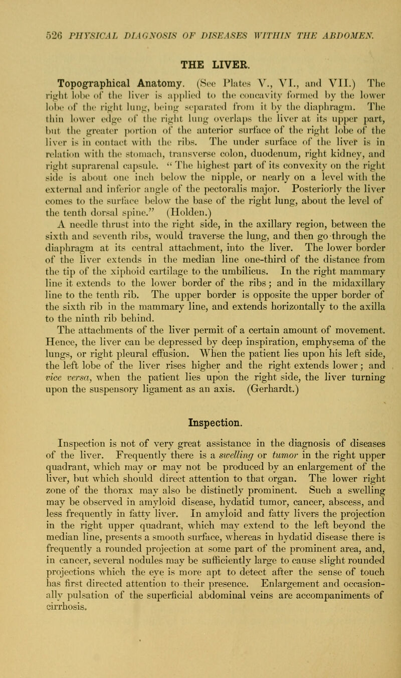 THE LIVER. Topographical Anatomy. (Sec Plates V., VI., and VII.) The right lobe of the liver is applied to the concavity formed by the lower lobe of the righl lung, being separated from it by the diaphragm. The thin lower edge of the right lung overlaps the liver at its upper part, hut the greater portion of the anterior surface of the right lobe of the liver Is in contact with the ribs. The under surface of the liver is in relation with the stomach, transverse colon, duodenum, right kidney, and right suprarenal capsule.  The highest part of its convexity on the right side is about one inch below the nipple, or nearly on a level with the external and inferior angle of the pectoralis major. Posteriorly the liver comes to the surface l>elo\\- the base of the right lung, about the level of the tenth dorsal spine. (Holden.) A needle thrust into the right side, in the axillary region, between the sixth and seventh ribs, would traverse the lung, and then go through the diaphragm at its central attachment, into the liver. The lower border of the liver extends in the median line one-third of the distance from the tij) of the xiphoid cartilage to the umbilicus. In the right mammary line it extends to the lower border of the ribs; and in the midaxillary line to the tenth rib. The upper border is opposite the upper border of the sixth rib in the mammary line, and extends horizontally to the axilla to the ninth rib behind. The attachments of the liver permit of a certain amount of movement. Hence, the liver can be depressed by deep inspiration, emphysema of the lungs, or right pleural effusion. When the patient lies upon his left side, the left lobe of the liver rises higher and the right extends lower; and vice versa, when the patient lies upon the right side, the liver turning upon the suspensory ligament as an axis. (Gerhardt.) Inspection. Inspection is not of very great assistance in the diagnosis of diseases of the liver. Frequently there is a swelling or tumor in the right upper quadrant, which may or may not be produced by an enlargement of the liver, but which should direct attention to that organ. The lower right zone of the thorax may also be distinctly prominent. Such a swelling may be observed in amyloid disease, hydatid tumor, cancer, abscess, and less frequently in fatty liver. In amyloid and fatty livers the projection in the right upper quadrant, which may extend to the left beyond the median line, presents a smooth surface, whereas in hydatid disease there is frequently a rounded projection at some part of the prominent area, and, in cancer, several nodules may be sufficiently large to cause slight rounded projections which the eye is more apt to detect after the sense of touch has first directed attention to their presence. Enlargement and occasion- ally pulsation of the superficial abdominal veins are accompaniments of cirrhosis.