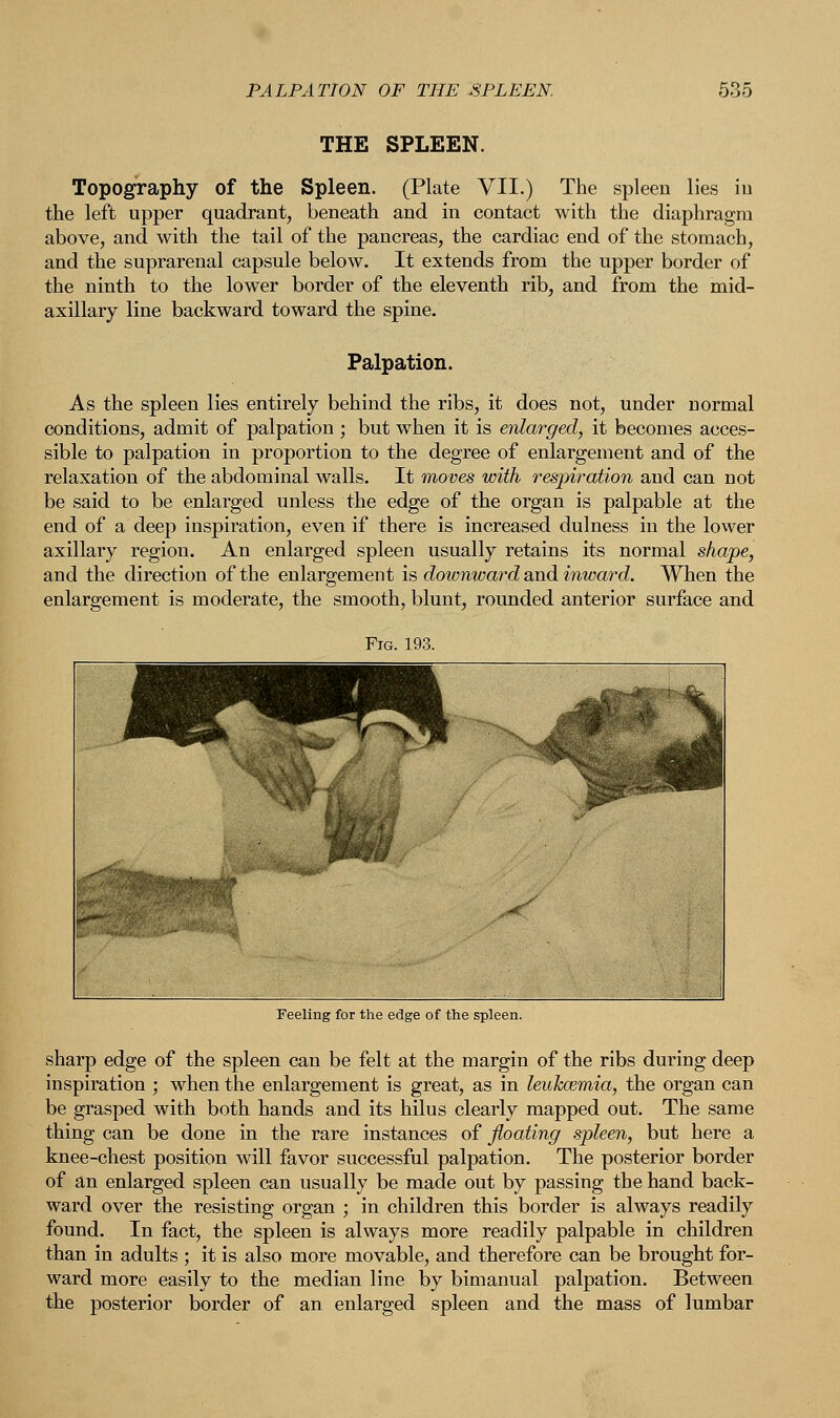 THE SPLEEN. Topography of the Spleen. (Plate VII.) The spleen lies in the left upper quadrant, beneath and in contact with the diaphragm above, and with the tail of the pancreas, the cardiac end of the stomach, and the suprarenal capsule below. It extends from the upper border of the ninth to the lower border of the eleventh rib, and from the mid- axillary line backward toward the spine. Palpation. As the spleen lies entirely behind the ribs, it does not, under normal conditions, admit of palpation ; but when it is enlarged, it becomes acces- sible to palpation in proportion to the degree of enlargement and of the relaxation of the abdominal walls. It moves with respiration and can not be said to be enlarged unless the edge of the organ is palpable at the end of a deep inspiration, even if there is increased dulness in the lower axillary region. An enlarged spleen usually retains its normal shape, and the direction of the enlargement is downward and inward. When the enlargement is moderate, the smooth, blunt, rounded anterior surface and Feeling for the edge of the spleen. sharp edge of the spleen can be felt at the margin of the ribs during deep inspiration ; when the enlargement is great, as in leukcemia, the organ can be grasped with both hands and its hilus clearly mapped out. The same thing can be done in the rare instances of floating spleen, but here a knee-chest position will favor successful palpation. The posterior border of an enlarged spleen can usually be made out by passing the hand back- ward over the resisting organ ; in children this border is always readily found. In fact, the spleen is always more readily palpable in children than in adults ; it is also more movable, and therefore can be brought for- ward more easily to the median line by bimanual palpation. Between the posterior border of an enlarged spleen and the mass of lumbar