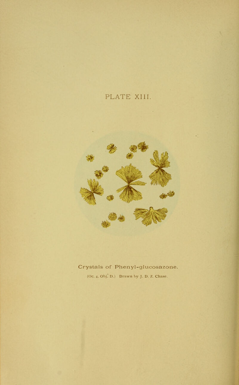 PLATE XIII. Crystals of Phenyl-glucosazotie. (Oc. 4. Obj! D.) Drawn by J. D. Z. Chase.