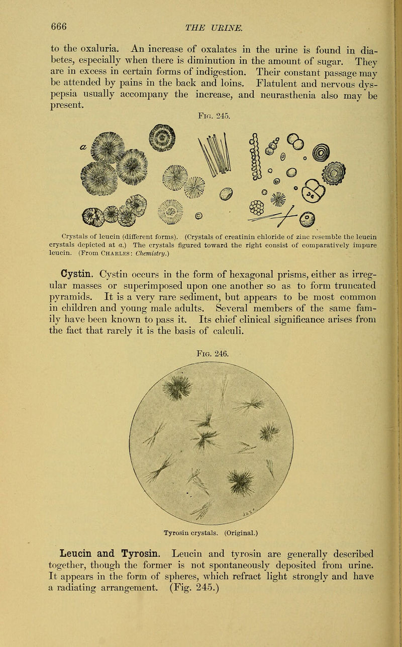 to the oxaluria. An increase of oxalates in the urine is found in dia- betes, especially when there is diminution in the amount of sugar. They are in excess in certain forms of indigestion. Their constant passage may be attended by pains in the back and loins. Flatulent and nervous dys- pepsia usually accompany the increase, and neurasthenia also may be present. Fig. 245. Crystals of leucin (different forms). (Crystals of creatinin chloride of zinc resemble the leucin crystals depicted at a.) The crystals figured toward the right consist of comparatively impure leucin. (From Charles : Chemistry.) Cystin. Cystin occurs in the form of hexagonal prisms, either as irreg- ular masses or superimposed upon one another so as to form truncated pyramids. It is a very rare sediment, but appears to be most common in children and young male adults. Several members of the same fam- ily have been known to pass it. Its chief clinical significance arises from the fact that rarely it is the basis of calculi. Tyrosin crystals. (Original.) Leucin and Tyrosin. Leucin and tyrosin are generally described together, though the former is not spontaneously deposited from urine. It appears in the form of spheres, which refract light strongly and have a radiating arrangement. (Fig. 245.)