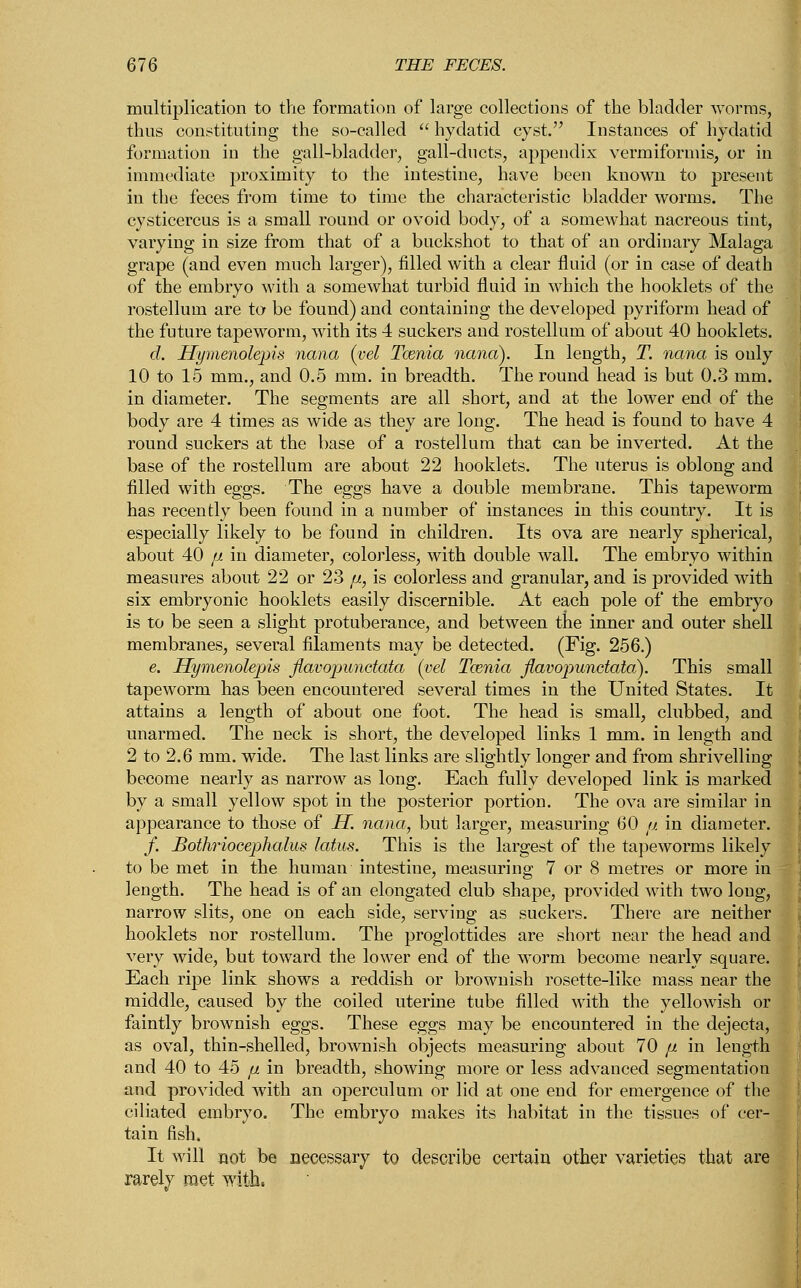 multiplication to the formation of large collections of the bladder worms, thus constituting the so-called  hydatid cyst. Instances of hydatid formation in the gall-bladder, gall-ducts, appendix vermiformis, or in immediate proximity to the intestine, have been known to present in the feces from time to time the characteristic bladder worms. The cysticercus is a small round or ovoid body, of a somewhat nacreous tint, varying in size from that of a buckshot to that of an ordinary Malaga grape (and even much larger), filled with a clear fluid (or in case of death of the embryo with a somewhat turbid fluid in which the booklets of the rostellum are to be found) and containing the developed pyriform head of the future tapeworm, with its 4 suckers and rostellum of about 40 booklets. d. Hymenolepis nana (vel Taenia nana). In length, T. nana is only 10 to 15 mm., and 0.5 mm. in breadth. The round head is but 0.3 mm. in diameter. The segments are all short, and at the lower end of the body are 4 times as wide as they are long. The head is found to have 4 round suckers at the base of a rostellum that can be inverted. At the base of the rostellum are about 22 hooklets. The uterus is oblong and filled with eggs. The eggs have a double membrane. This tapeworm has recently been found in a number of instances in this country. It is especially likely to be found in children. Its ova are nearly spherical, about 40 fi in diameter, colorless, with double wall. The embryo within measures about 22 or 23 //, is colorless and granular, and is provided with six embryonic hooklets easily discernible. At each pole of the embryo is to be seen a slight protuberance, and between the inner and outer shell membranes, several filaments may be detected. (Fig. 256.) e. Hymenolepis jlavopunctata (vel Taenia jlavopunctata). This small tapeworm has been encountered several times in the United States. It attains a length of about one foot. The head is small, clubbed, and unarmed. The neck is short, the developed links 1 mm. in length and 2 to 2.6 mm. wide. The last links are slightly longer and from shrivelling become nearly as narrow as long. Each fully developed link is marked by a small yellow spot in the posterior portion. The ova are similar in appearance to those of H. nana, but larger, measuring 60 p. in diameter. /. Botlwiocephalus lotus. This is the largest of the tapeworms likely to be met in the human intestine, measuring 7 or 8 metres or more in length. The head is of an elongated club shape, provided with two long, narrow slits, one on each side, serving as suckers. There are neither hooklets nor rostellum. The proglottides are short near the head and very wide, but toward the lower end of the worm become nearly square. Each ripe link shows a reddish or brownish rosette-like mass near the middle, caused by the coiled uterine tube filled with the yellowish or faintly brownish eggs. These eggs may be encountered in the dejecta, as oval, thin-shelled, brownish objects measuring about 70 p. in length and 40 to 45 jul in breadth, showing more or less advanced segmentation and provided with an oj>erculum or lid at one end for emergence of the ciliated embryo. The embryo makes its habitat in the tissues of cer- tain fish. It will not be necessary to describe certain other varieties that are rarely met with.