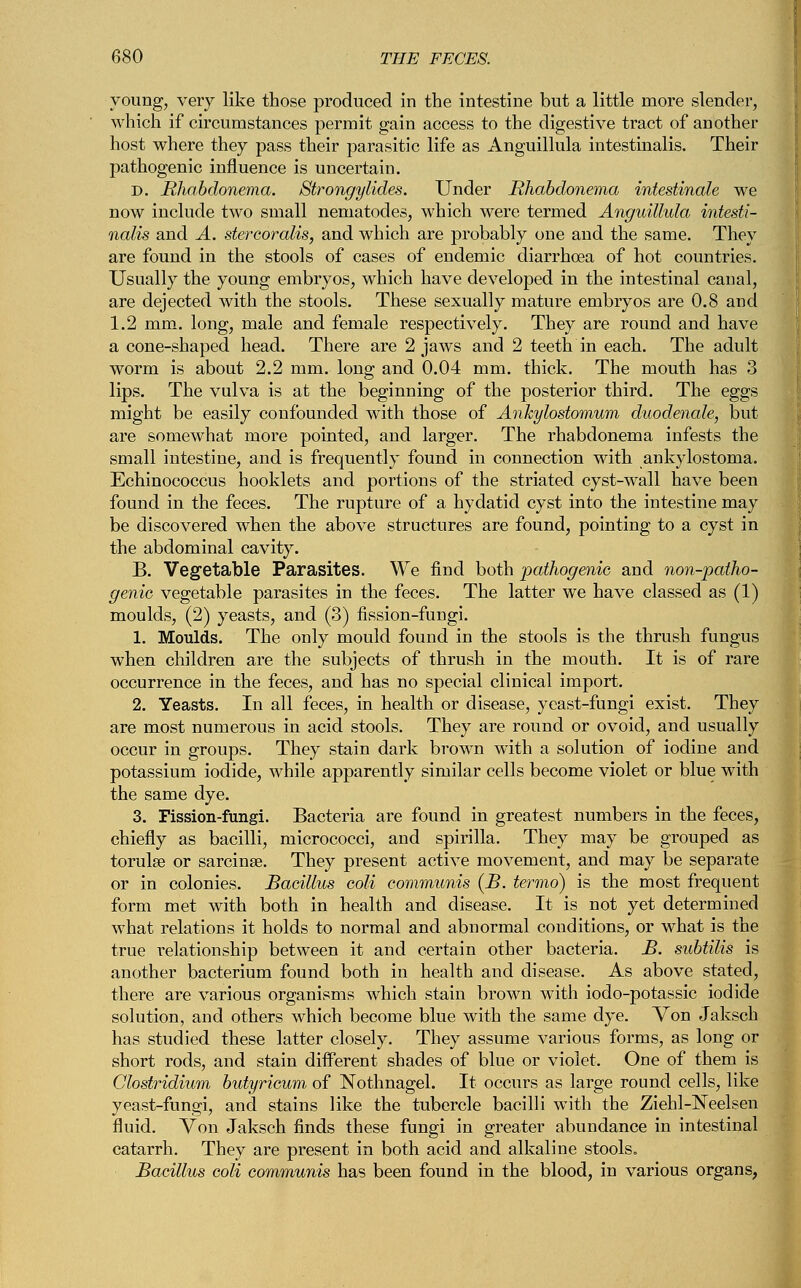 young, very like those produced in the intestine but a little more slender, which if circumstances permit gain access to the digestive tract of another host where they pass their parasitic life as Anguillula intestinalis. Their pathogenic influence is uncertain. D. Rhabdonema. Strongylides. Under Rhabdonema intestinale we now include two small nematodes, which were termed Anguillula intesti- nalis and A. stercoralis, and which are probably one and the same. They are found in the stools of cases of endemic diarrhoea of hot countries. Usually the young embryos, which have developed in the intestinal canal, are dejected with the stools. These sexually mature embryos are 0.8 and 1.2 mm. long, male and female respectively. They are round and have a cone-shaped head. There are 2 jaws and 2 teeth in each. The adult worm is about 2.2 mm. long and 0.04 mm. thick. The mouth has 3 lips. The vulva is at the beginning of the posterior third. The eggs might be easily confounded with those of Ankylostomum duodenale, but are somewhat more pointed, and larger. The rhabdonema infests the small intestine, and is frequently found in connection with ankylostoma. Echinococcus hooklets and portions of the striated cyst-wall have been found in the feces. The rupture of a hydatid cyst into the intestine may be discovered when the above structures are found, pointing to a cyst in the abdominal cavity. B. Vegetable Parasites. We find both pathogenic and non-patho- genic vegetable parasites in the feces. The latter we have classed as (1) moulds, (2) yeasts, and (3) fission-fungi. 1. Moulds. The only mould found in the stools is the thrush fungus when children are the subjects of thrush in the mouth. It is of rare occurrence in the feces, and has no special clinical import. 2. Yeasts. In all feces, in health or disease, yeast-fungi exist. They are most numerous in acid stools. They are round or ovoid, and usually occur in groups. They stain dark brown with a solution of iodine and potassium iodide, while apparently similar cells become violet or blue with the same dye. 3. Fission-fungi. Bacteria are found in greatest numbers in the feces, chiefly as bacilli, micrococci, and spirilla. They may be grouped as torulse or sarcinse. They present active movement, and may be separate or in colonies. Bacillus coli communis (B. termo) is the most frequent form met with both in health and disease. It is not yet determined what relations it holds to normal and abnormal conditions, or what is the true relationship between it and certain other bacteria. B. subtilis is another bacterium found both in health and disease. As above stated, there are various organisms which stain brown with iodo-potassic iodide solution, and others which become blue with the same dye. Von Jaksch has studied these latter closely. They assume various forms, as long or short rods, and stain different shades of blue or violet. One of them is Clostridium butyricum of Nothnagel. It occurs as large round cells, like yeast-fungi, and stains like the tubercle bacilli with the Ziehl-Neelsen fluid. Von Jaksch finds these fungi in greater abundance in intestinal catarrh. They are present in both acid and alkaline stools. Bacillus coli communis has been found in the blood, in various organs,
