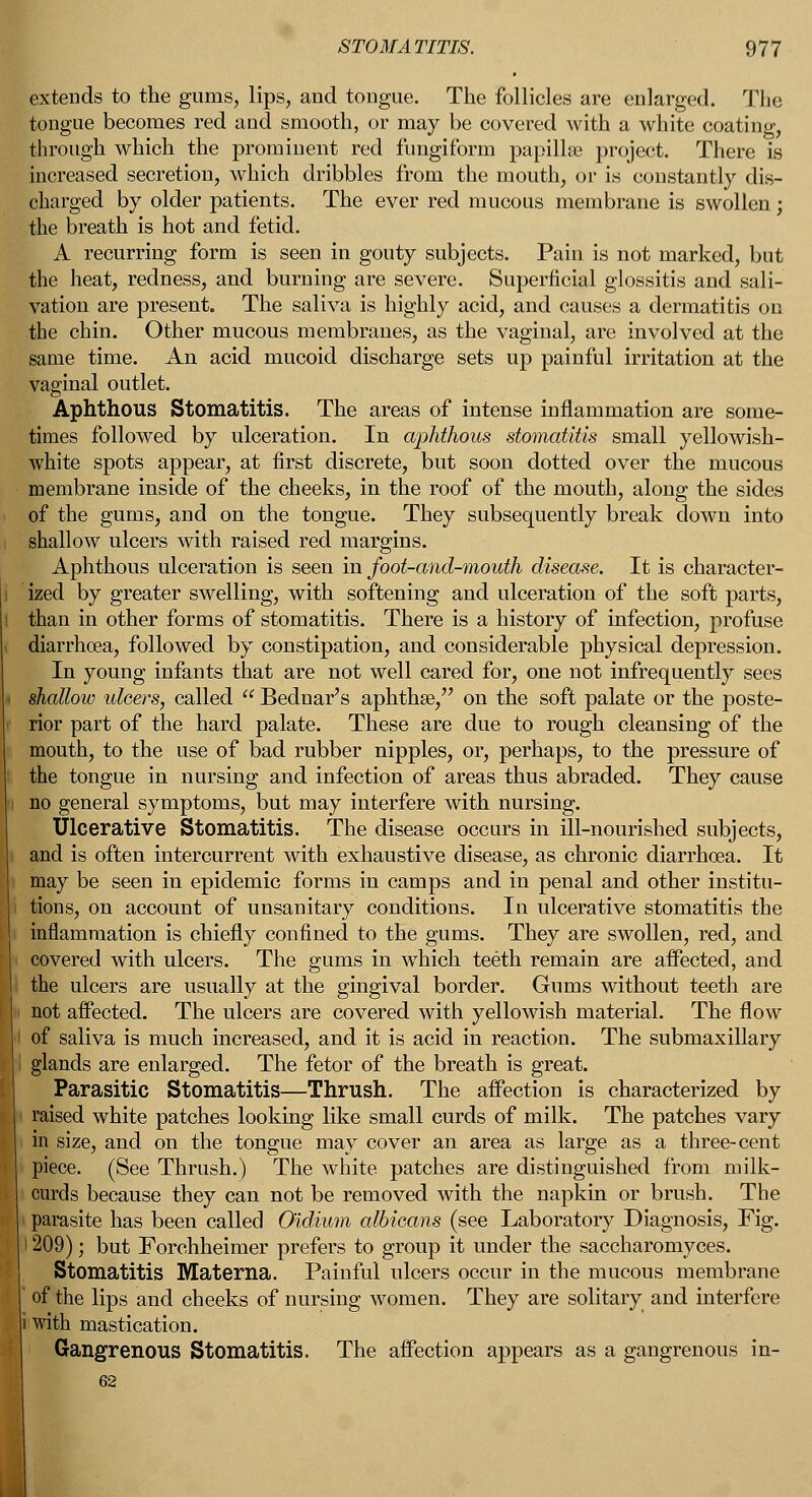 extends to the gums, lips, and tongue. The follicles are enlarged. The tongue becomes red and smooth, or may be covered with a white coating, through which the prominent red fungiform papillae project. There is increased secretion, which dribbles from the mouth, or is constantly dis- charged by older patients. The ever red mucous membrane is swollen; the breath is hot and fetid. A recurring form is seen in gouty subjects. Pain is not marked, but the heat, redness, and burning are severe. Superficial glossitis and sali- vation are present. The saliva is highly acid, and causes a dermatitis on the chin. Other mucous membranes, as the vaginal, are involved at the same time. An acid mucoid discharge sets up painful irritation at the vaginal outlet. Aphthous Stomatitis. The areas of intense inflammation are some- times followed by ulceration. In ajjhthous stomatitis small yellowish- white spots appear, at first discrete, but soon dotted over the mucous membrane inside of the cheeks, in the roof of the mouth, along the sides of the gums, and on the tongue. They subsequently break down into shallow ulcers with raised red margins. Aphthous ulceration is seen in foot-and-mouth disease. It is character- ized by greater swelling, with softening and ulceration of the soft parts, ihan in other forms of stomatitis. There is a history of infection, profuse diarrhoea, followed by constipation, and considerable physical depression. In young infants that are not well cared for, one not infrequently sees shallow ulcers, called  Bednar's aphthae, on the soft palate or the poste- rior part of the hard palate. These are due to rough cleansing of the mouth, to the use of bad rubber nipples, or, perhaps, to the pressure of the tongue in nursing and infection of areas thus abraded. They cause no general symptoms, but may interfere with nursing. Ulcerative Stomatitis. The disease occurs in ill-nourished subjects, and is often intercurrent with exhaustive disease, as chronic diarrhoea. It may be seen in epidemic forms in camps and in penal and other institu- tions, on account of unsanitary conditions. In ulcerative stomatitis the inflammation is chiefly confined to the gums. They are swollen, red, and covered with ulcers. The gums in which teeth remain are affected, and the ulcers are usually at the gingival border. Gums without teeth are not affected. The ulcers are covered with yellowish material. The flow of saliva is much increased, and it is acid in reaction. The submaxillary glands are enlarged. The fetor of the breath is great. Parasitic Stomatitis—Thrush. The affection is characterized by raised white patches looking like small curds of milk. The patches vary in size, and on the tongue may cover an area as large as a three-cent piece. (See Thrush.) The white patches are distinguished from milk- curds because they can not be removed with the napkin or brush. The parasite has been called O'idium albicans (see Laboratory Diagnosis, Fig. 209); but Forchheimer prefers to group it under the saccharomyces. Stomatitis Materna. Painful ulcers occur in the mucous membrane of the lips and cheeks of nursing women. They are solitary and interfere a with mastication. Gangrenous Stomatitis. The affection appears as a gangrenous in-