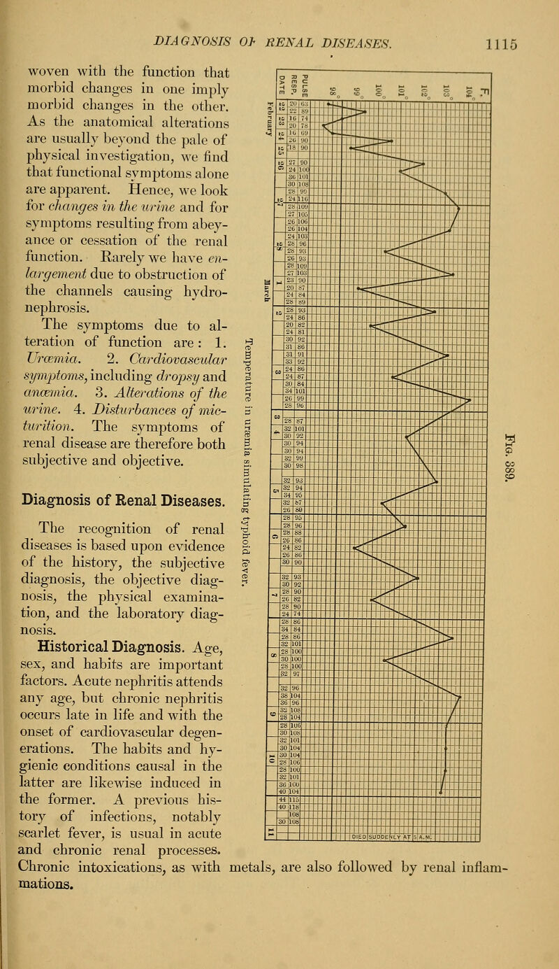 woven with the function that morbid changes in one imply morbid changes in the other. As the anatomical alterations are usually beyond the pale of physical investigation, we find that functional symptoms alone are apparent. Hence, we look for changes in the urine and for symptoms resulting from abey- ance or cessation of the renal function. Rarely we have en- largement due to obstruction of the channels causing hydro- nephrosis. The symptoms due to al- teration of function are: 1. Urcemia. 2. Cardiovascular symptoms, including dropsy and anozmia. 3. Alterations of the urine. 4. Disturbances of mic- turition. The symptoms of renal disease are therefore both subjective and objective. Diagnosis of Renal Diseases. The recognition of renal diseases is based upon evidence of the history, the subjective diagnosis, the objective diag- nosis, the physical examina- tion, and the laboratory diag- nosis. Historical Diagnosis. Age, sex, and habits are important factors. Acute nephritis attends any age, but chronic nephritis occurs late in life and with the onset of cardiovascular degen- erations. The habits and hy- gienic conditions causal in the latter are likewise induced in the former. A previous his- tory of infections, notably scarlet fever, is usual in acute and chronic renal processes. Chronic intoxications, as with metals, are also followed by renal inflam- mations.