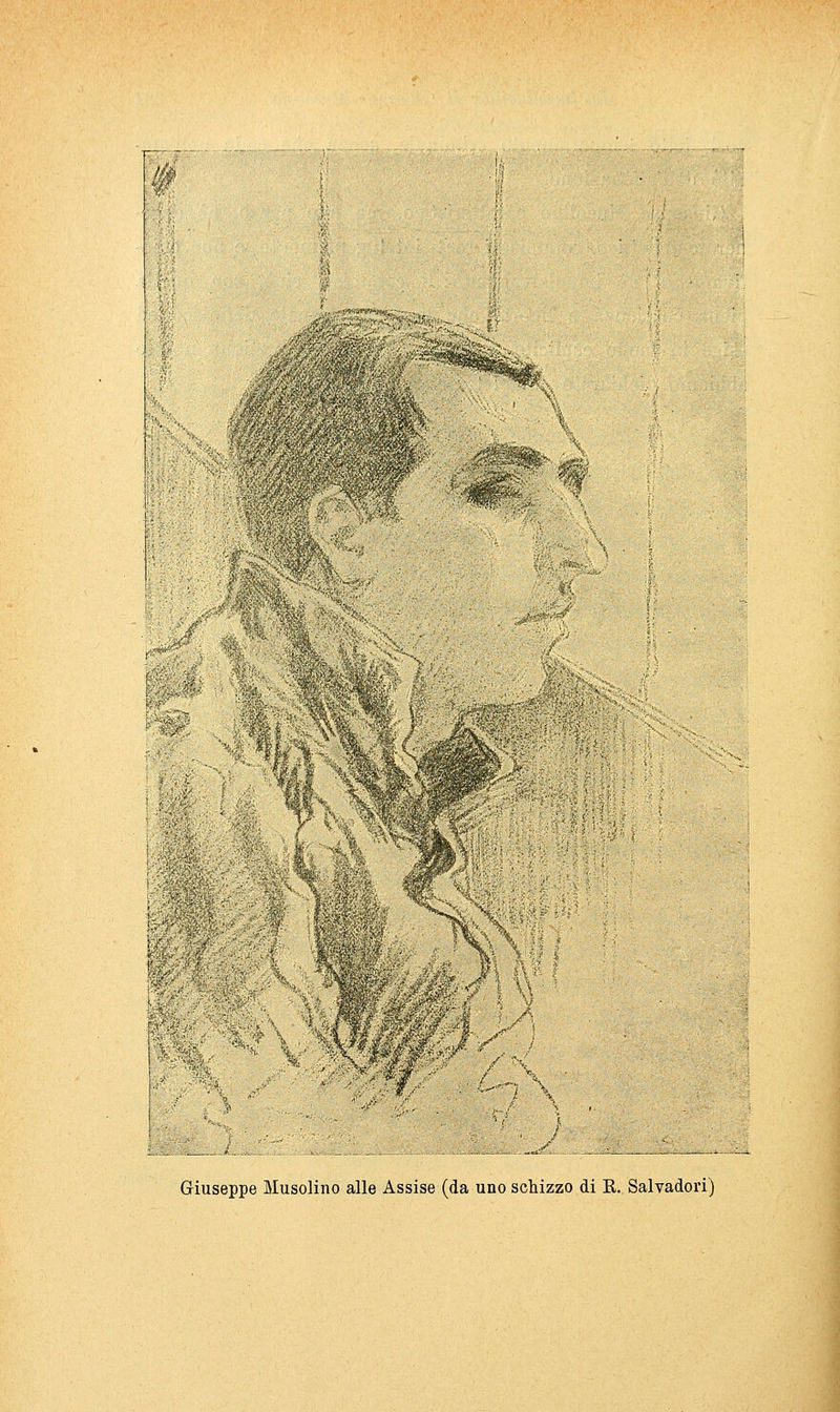 È&^'v >^ / I , . ì Giuseppe Musolino alle Assise (da uno schizzo di E. Salvadori)