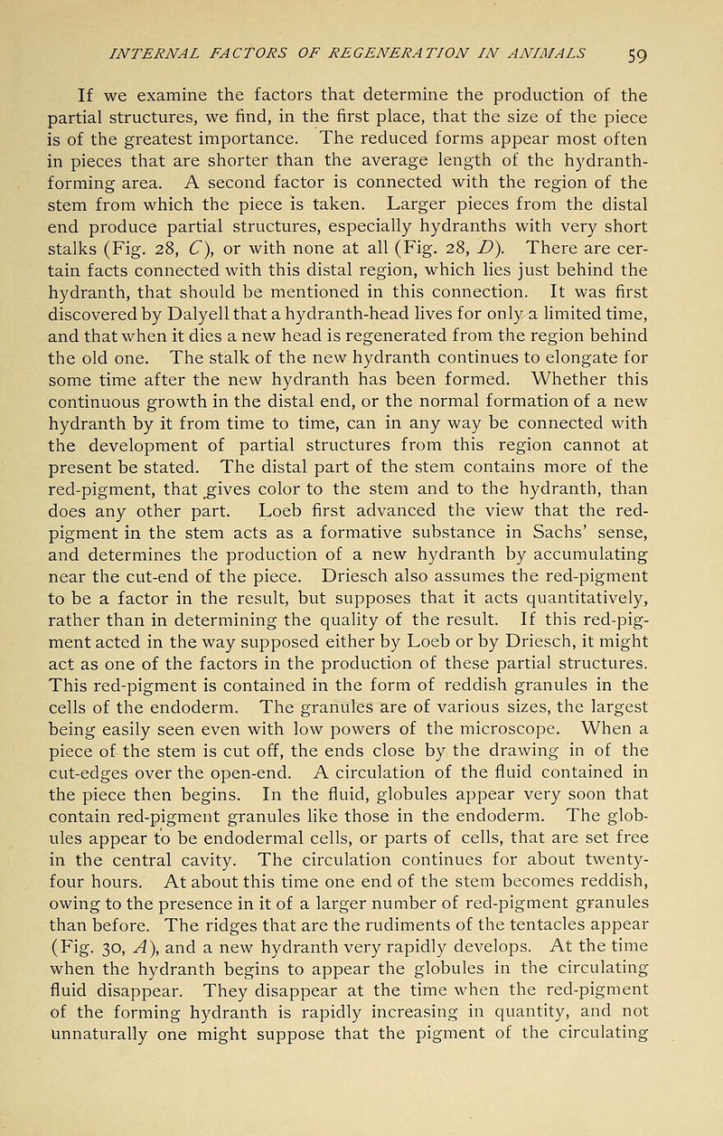 If we examine the factors that determine the production of the partial structures, we find, in the first place, that the size of the piece is of the greatest importance. The reduced forms appear most often in pieces that are shorter than the average length of the hydranth- forming area. A second factor is connected with the region of the stem from which the piece is taken. Larger pieces from the distal end produce partial structures, especially hydranths with very short stalks (Fig. 28, C), or with none at all (Fig. 28, D). There are cer- tain facts connected with this distal region, which lies just behind the hydranth, that should be mentioned in this connection. It was first discovered by Dalyell that a hydranth-head lives for only a limited time, and that when it dies a new head is regenerated from the region behind the old one. The stalk of the new hydranth continues to elongate for some time after the new hydranth has been formed. Whether this continuous growth in the distal end, or the normal formation of a new hydranth by it from time to time, can in any way be connected with the development of partial structures from this region cannot at present be stated. The distal part of the stem contains more of the red-pigment, that .gives color to the stem and to the hydranth, than does any other part. Loeb first advanced the view that the red- pigment in the stem acts as a formative substance in Sachs' sense, and determines the production of a new hydranth by accumulating near the cut-end of the piece. Driesch also assumes the red-pigment to be a factor in the result, but supposes that it acts quantitatively^ rather than in determining the quality of the result. If this red-pig- ment acted in the way supposed either by Loeb or by Driesch, it might act as one of the factors in the production of these partial structures. This red-pigment is contained in the form of reddish granules in the cells of the endoderm. The granules are of various sizes, the largest being easily seen even with low powers of the microscope. When a piece of the stem is cut off, the ends close by the drawing in of the cut-edges over the open-end. A circulation of the fluid contained in the piece then begins. In the fluid, globules appear very soon that contain red-pigment granules like those in the endoderm. The glob- ules appear to be endodermal cells, or parts of cells, that are set free in the central cavity. The circulation continues for about twenty- four hours. At about this time one end of the stem becomes reddish, owing to the presence in it of a larger number of red-pigment granules than before. The ridges that are the rudiments of the tentacles appear (Fig. 30, A\ and a new hydranth very rapidly develops. At the time when the hydranth begins to appear the globules in the circulating fluid disappear. They disappear at the time when the red-pigment of the forming hydranth is rapidly increasing in quantity, and not Unnaturally one might suppose that the pigment of the circulating