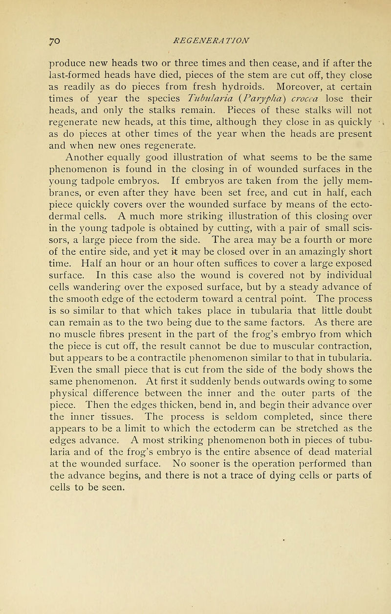 produce new heads two or three times and then cease, and if after the last-formed heads have died, pieces of the stem are cut off, they close as readily as do pieces from fresh hydroids. Moreover, at certain times of year the species Tiibularia {Parypha) crocea lose their heads, and only the stalks remain. Pieces of these stalks will not regenerate new heads, at this time, although they close in as quickly as do pieces at other times of the year when the heads are present and when new ones regenerate. Another equally good illustration of what seems to be the same phenomenon is found in the closing in of wounded surfaces in the young tadpole embryos. If embryos are taken from the jelly mem- branes, or even after they have been set free, and cut in half, each piece quickly covers over the wounded surface by means of the ecto- dermal cells. A much more striking illustration of this closing over in the young tadpole is obtained by cutting, with a pair of small scis- sors, a large piece from the side. The area may be a fourth or more of the entire side, and yet it may be closed over in an amazingly short time. Half an hour or an hour often suffices to cover a large exposed surface. In this case also the wound is covered not by individual cells wandering over the exposed surface, but by a steady advance of the smooth edge of the ectoderm toward a central point. The process is so similar to that which takes place in tubularia that little doubt can remain as to the two being due to the same factors. As there are no muscle fibres present in the part of the frog's embryo from which the piece is cut off, the result cannot be due to muscular contraction, but appears to be a contractile phenomenon similar to that in tubularia. Even the small piece that is cut from the side of the body shows the same phenomenon. At first it suddenly bends outwards owing to some physical difference between the inner and the outer parts of the piece. Then the edges thicken, bend in, and begin their advance over the inner tissues. The process is seldom completed, since there appears to be a limit to which the ectoderm can be stretched as the edges advance. A most striking phenomenon both in pieces of tubu- laria and of the frog's embryo is the entire absence of dead material at the wounded surface. No sooner is the operation performed than the advance begins, and there is not a trace of dying cells or parts of cells to be seen.