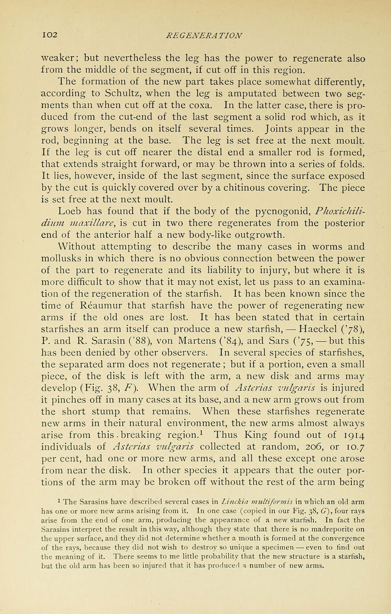 weaker; but nevertheless the leg has the power to regenerate also from the middle of the segment, if cut off in this region. The formation of the new part takes place somewhat differently, according to Schultz, when the leg is amputated between two seg- ments than when cut off at the coxa. In the latter case, there is pro- duced from the cut-end of the last segment a solid rod which, as it grows longer, bends on itself several times. Joints appear in the rod, beginning at the base. The leg is set free at the next moult. If the leg is cut off nearer the distal end a smaller rod is formed, that extends straight forward, or may be thrown into a series of folds. It lies, however, inside of the last segment, since the surface exposed by the cut is quickly covered over by a chitinous covering. The piece is set free at the next moult. Loeb has found that if the body of the pycnogonid, Phoxichili- diiini maxillare, is cut in two there regenerates from the posterior end of the anterior half a new body-like outgrowth. Without attempting to describe the many cases in worms and mollusks in which there is no obvious connection between the power of the part to regenerate and its liability to injury, but where it is more difficult to show that it may not exist, let us pass to an examina- tion of the regeneration of the starfish. It has been known since the time of Reaumur that starfish have the power of regenerating new arms if the old ones are lost. It has been stated that in certain starfishes an arm itself can produce a new starfish, — Haeckel {^7'^^, P. and R. Sarasin ('88), von Martens ('84), and Sars ('75, — but this has been denied by other observers. In several species of starfishes, the separated arm does not regenerate; but if a portion, even a small piece, of the disk is left with the arm, a new disk and arms may develop (Fig. 38, F^. When the arm of Asterias vulgaris is injured it pinches off in many cases at its base, and a new arm grows out from the short stump that remains. When these starfishes regenerate new arms in their natural environment, the new arms almost always arise from this. breaking region.^ Thus King found out of 1914 individuals of Asterias vulgaris collected at random, 206, or 10.7 per cent, had one or more new arms, and all these except one arose from near the disk. In other species it appears that the outer por- tions of the arm may be broken off without the rest of the arm being ^ The Sarasins have described several cases in Linckia multiformis in which an old arm has one or more new arms arising from it. In one case (copied in our Fig. 38, tP), four rays arise from the end of one arm, producing the appearance of a new starfish. In fact the Sarasins interpret the result in this way, although they state that there is no madreporite on the upper surface, and they did not determine whether a mouth is formed at the convergence of the rays, because they did not wish to destroy so unique a specimen — even to find out the meaning of it. There seems to me little probability that the new structure is a starfish, but the old arm has been so injured that it has produceil a number of new arms.