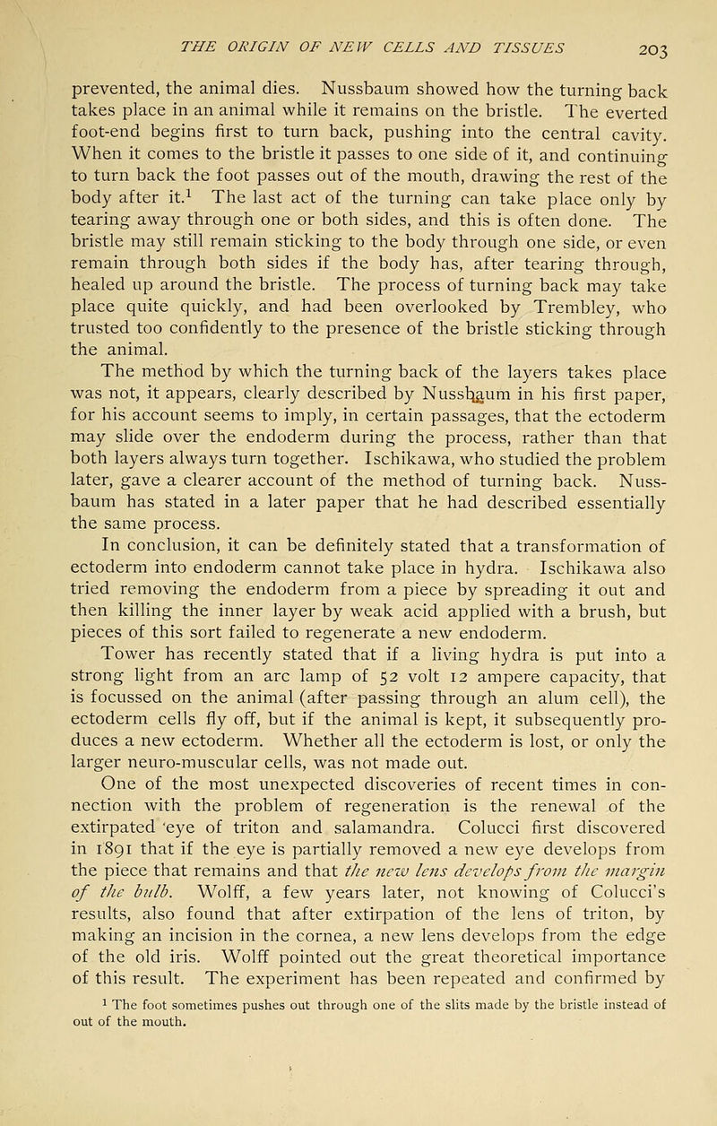 prevented, the animal dies. Nussbaum showed how the turning back takes place in an animal while it remains on the bristle. The everted foot-end begins first to turn back, pushing into the central cavity. When it comes to the bristle it passes to one side of it, and continuing to turn back the foot passes out of the mouth, drawing the rest of the body after it.^ The last act of the turning can take place only by tearing away through one or both sides, and this is often done. The bristle may still remain sticking to the body through one side, or even remain through both sides if the body has, after tearing through, healed up around the bristle. The process of turning back may take place quite quickly, and had been overlooked by Trembley, who trusted too confidently to the presence of the bristle sticking through the animal. The method by which the turning back of the layers takes place was not, it appears, clearly described by Nussli^aum in his first paper, for his account seems to imply, in certain passages, that the ectoderm may slide over the endoderm during the process, rather than that both layers always turn together. Ischikawa, who studied the problem later, gave a clearer account of the method of turning back. Nuss- baum has stated in a later paper that he had described essentially the same process. In conclusion, it can be definitely stated that a transformation of ectoderm into endoderm cannot take place in hydra. Ischikawa also tried removing the endoderm from a piece by spreading it out and then killing the inner layer by weak acid appHed with a brush, but pieces of this sort failed to regenerate a new endoderm. Tower has recently stated that if a living hydra is put into a strong light from an arc lamp of 52 volt 12 ampere capacity, that is focussed on the animal (after passing through an alum cell), the ectoderm cells fly off, but if the animal is kept, it subsequently pro- duces a new ectoderm. Whether all the ectoderm is lost, or only the larger neuro-muscular cells, was not made out. One of the most unexpected discoveries of recent times in con- nection with the problem of regeneration is the renewal of the extirpated 'eye of triton and salamandra. Colucci first discovered in 1891 that if the eye is partially removed a new eye develops from the piece that remains and that the new lens develops from the margiji of the b?tlb. Wolff, a few years later, not knowing of Colucci's results, also found that after extirpation of the lens of triton, by making an incision in the cornea, a new lens develops from the edge of the old iris. Wolff pointed out the great theoretical importance of this result. The experiment has been repeated and confirmed by 1 The foot sometimes pushes out through one of the sUts made by the bristle instead of out of the mouth.