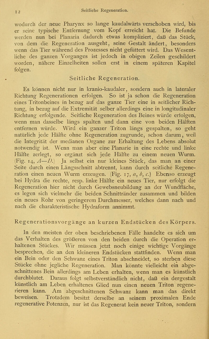 j , Seitliche Regeneration. wodurch der neue Pharynx so lange kaudalwärts verschoben wird, bis er seine typische Entfernung vom Kopf erreicht hat. Die Befunde werden nun bei Planaria dadurch etwas kompliziert, daß das Stück, von dem die Regeneration ausgeht, seine Gestalt ändert, besonders wenn das Tier während des Prozesses nicht gefüttert wird. Das Wesent- liche des ganzen Vorganges ist jedoch in obigen Zeilen geschildert worden, nähere Einzelheiten sollen erst in einem späteren Kapitel folgen. Seitliche Regeneration. Es können nicht nur in kranio-kaudaler, sondern auch in lateraler Richtung Regenerationen erfolgen. So ist ja schon die Regeneration eines Tritonbeines in bezug auf das ganze Tier eine in seitlicher Rich- tung, in bezug auf die Extremität selber allerdings eine in longitudinaler Richtung erfolgende. Seitliche Regeneration des Beines würde erfolgen, wenn man dasselbe längs spalten und dann eine von beiden Hälften entfernen würde. Wird ein ganzer Triton längs gespalten, so geht natürlich jede Hälfte ohne Regeneration zugrunde, schon darum, weil die Integrität der medianen Organe zur Erhaltung des Lebens absolut notwendig ist. Wenn man aber eine Planarie in eine rechte und linke Hälfte zerlegt, so ergänzt sich jede Hälfte zu einem neuen Wurm. (Fig. 14, A—D.) Ja selbst ein nur kleines Stück, das man an einer Seite durch einen Längsschnitt abtrennt, kann durch seitliche Regene- ration einen neuen Wurm erzeugen. (Fig. 17, «, ö, c.) Ebenso erzeugt bei Hydra die rechte, resp. linke Hälfte ein neues Tier, nur erfolgt die Regeneration hier nicht durch Gewebsneubildung an der Wundfläche, es legen sich vielmehr die beiden Schnittränder zusammen und bilden ein neues Rohr von geringerem Durchmesser, welches dann nach und nach die charakteristische Hydraform annimmt. Regenerationsvorgänge an kurzen Endstücken des Körpers. In den meisten der oben beschriebenen Fälle handelte es sich um das Verhalten des größeren von den beiden durch die Operation er- haltenen Stückes. Wir müssen jetzt noch einige wichtige Vorgänge besprechen, die an den kleineren Endstücken stattfinden. Wenn man ein Bein oder den Schwanz eines Triton abschneidet, so sterben diese Stücke ohne jegliche Regeneration. Man könnte vielleicht ein abge- schnittenes Bein allerdings am Leben erhalten, wenn man es künstlich durchblutet. Daraus folgt selbstverständlich nicht, daß ein dergestalt künstlich am Leben erhaltenes Glied nun einen neuen Triton regene- rieren kann. Am abgeschnittenen Schwanz kann man das direkt beweisen. Trotzdem besitzt derselbe an seinem proximalen Ende regenerative Potenzen, nur ist das Regenerat kein neuer Triton, sondern