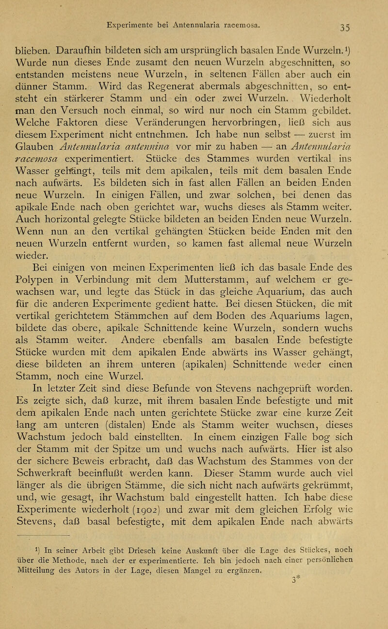 Experimente bei Antennularia racemosa. sc blieben. Daraufhin bildeten sich am ursprünglich basalen Ende Wurzeln.1) Wurde nun dieses Ende zusamt den neuen Wurzeln abgeschnitten, so entstanden meistens neue Wurzeln, in seltenen Fällen aber auch ein dünner Stamm. Wird das Regenerat abermals abgeschnitten, so ent- steht ein stärkerer Stamm und ein oder zwei Wurzeln. Wiederholt man den Versuch noch einmal, so wird nur noch ein Stamm gebildet. Welche Faktoren diese Veränderungen hervorbringen, ließ sich aus diesem Experiment nicht entnehmen. Ich habe nun selbst — zuerst im Glauben Antennularia antennina vor mir zu haben — an Antennularia racemosa experimentiert. Stücke des Stammes wurden vertikal ins Wasser gehängt, teils mit dem apikalen, teils mit dem basalen Ende nach aufwärts. Es bildeten sich in fast allen Fällen an beiden Enden neue Wurzeln. In einigen Fällen, und zwar solchen, bei denen das apikale Ende nach oben gerichtet war, wuchs dieses als Stamm weiter. Auch horizontal gelegte Stücke bildeten an beiden Enden neue Wurzeln. Wenn nun an den vertikal gehängten Stücken beide Enden mit den neuen Wurzeln entfernt wurden, so kamen fast allemal neue Wurzeln wieder. Bei einigen von meinen Experimenten ließ ich das basale Ende des Polypen in Verbindung mit dem Mutterstamm, auf welchem er ge- wachsen war, und legte das Stück in das gleiche Aquarium, das auch für die anderen Experimente gedient hatte. Bei diesen Stücken, die mit vertikal gerichtetem Stämmchen auf dem Boden des Aquariums lagen, bildete das obere, apikale Schnittende keine Wurzeln, sondern wuchs als Stamm weiter. Andere ebenfalls am basalen Ende befestigte Stücke wurden mit dem apikalen Ende abwärts ins Wasser gehängt, diese bildeten an ihrem unteren (apikalen) Schnittende weder einen Stamm, noch eine Wurzel. In letzter Zeit sind diese Befunde von Stevens nachgeprüft worden. Es zeigte sich, daß kurze, mit ihrem basalen Ende befestigte und mit dem apikalen Ende nach unten gerichtete Stücke zwar eine kurze Zeit lang am unteren (distalen) Ende als Stamm weiter wuchsen, dieses Wachstum jedoch bald einstellten. In einem einzigen Falle bog sich der Stamm mit der Spitze um und wuchs nach aufwärts. Hier ist also der sichere Beweis erbracht, daß das Wachstum des Stammes von der Schwerkraft beeinflußt werden kann. Dieser Stamm wurde auch viel länger als die übrigen Stämme, die sich nicht nach aufwärts gekrümmt, und, wie gesagt, ihr Wachstum bald eingestellt hatten. Ich habe diese Experimente wiederholt (1902) und zwar mit dem gleichen Erfolg wie Stevens, daß basal befestigte, mit dem apikalen Ende nach abwärts l) In seiner Arbeit gibt Driesch keine Auskunft über die Lage des Stückes, noch über die Methode, nach der er experimentierte. Ich bin jedoch nach einer persönlichen Mitteilung des Autors in der Lage, diesen Mangel zu ergänzen.