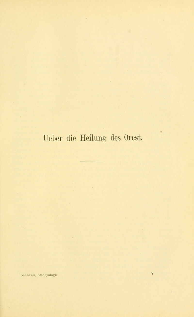 Ueber die Heilima^ des Orest. Möbius, Stachyologie.