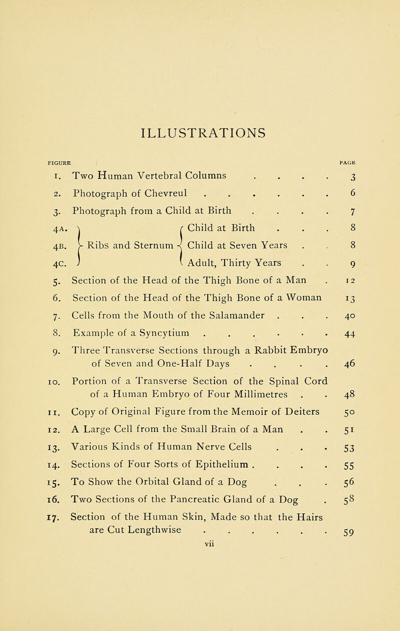 ILLUSTRATIONS I, 2. 3- 4A. 4B. 4C. 5- 6. 7- 8. lO. II. 12. 14. 16. 17- Two Human Vertebral Columns Photograph of Chevreul .... Photograph from a Child at Birth -\ r Child at Birth >- Ribs and Sternum •< Child at Seven Years J ' Adult, Thirty Years Section of the Head of the Thigh Bone of a Man Section of the Head of the Thigh Bone of a Woman Cells from the Mouth of the Salamander Example of a Syncytium Three Transverse Sections through a Rabbit Embryo of Seven and One-Half Days Portion of a Transverse Section of the Spinal Cord of a Human Embryo of Four Millimetres Copy of Original Figure from the Memoir of Deiters A Large Cell from the Small Brain of a Man Various Kinds of Human Nerve Cells Sections of Four Sorts of Epithelium . To Show the Orbital Gland of a Dog Two Sections of the Pancreatic Gland of a Dog Section of the Human Skin, Made so that the Hairs are Cut Lengthwise ..... 9 12 13 40 44 46 50 51 53 55 56 58 59