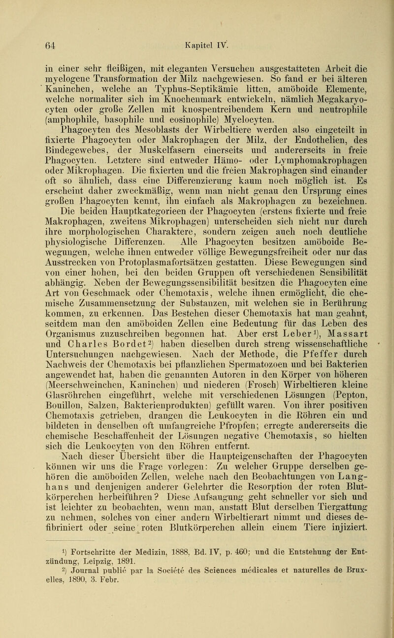 in einer sehr fleißigen, mit eleganten Versuchen ausgestatteten Arbeit die myelogene Transformation der Milz nachgewiesen. So fand er bei älteren Kaninchen, welche an Typhus-Septikämie litten, amöboide Elemente, welche normaliter sich im Knochenmark entwickeln, nämlich Megakaryo- cyten oder große Zellen mit knospentreibendem Kern und neutrophile (amphophile, basophile und eosinophile) Myelocyten. Phagocyten des Mesoblasts der Wirbeltiere werden also eingeteilt in fixierte Phagocyten oder Makrophagen der Milz, der Endothelien, des Bindegewebes, der Muskelfasern einerseits und andererseits in freie Phagocyten. Letztere sind entweder Hämo- oder Lymphomakrophagen oder Mikrophagen. Die fixierten und die freien Makrophagen sind einander oft so ähnlich, dass eine Diiferenzierung kaum noch möglich ist. Es erscheint daher zweckmäßig, wenn man nicht genau den Ursprung eines großen Phagocyten kennt, ihn einfach als Makrophagen zu bezeichnen. Die beiden Hauptkategorieen der Phagocyten (erstens fixierte und freie Makrophagen, zweitens Mikrophagen) unterscheiden sich nicht nur durch ihre morphologischen Charaktere, sondern zeigen auch noch deutliche physiologische Differenzen. Alle Phagocyten besitzen amöboide Be- wegungen, welche ihnen entweder völlige Bewegungsfreiheit oder nur das Ausstrecken von Protoplasmafortsätzen gestatten. Diese Bewegungen sind von einer hohen, bei den beiden Gruppen oft verschiedenen Sensibilität abhängig. Neben der Bewegungssensibilität besitzen die Phagocyten eine Art von Geschmack oder Chemotaxis, welche ihnen ermöglicht, die che- mische Zusammensetzung der Substanzen, mit welchen sie in Berührung kommen, zu erkennen. Das Bestehen dieser Chemotaxis hat man geahnt, seitdem man den amöboiden Zellen eine Bedeutung für das Leben des Organismus zuzuschreiben begonnen hat. Aber erst Leberi), Massart und Charles Bordet^) haben dieselben durch streng wissenschaftliche Untersuchungen nachgewiesen. Nach der Methode, die Pfeffer durch Nachweis der Chemotaxis bei pflanzlichen Spermatozoon und bei Bakterien angewendet hat, haben die genannten Autoren in den Körper von höheren (Meerschweinchen, Kaninchen) und niederen (Frosch) Wirbeltieren kleine Glasröhrchen eingeführt, welche mit verschiedenen Lösungen (Pepton, Bouillon, Salzen, Bakterienprodukten) gefüllt waren. Von ihrer positiven Chemotaxis getrieben, drangen die Leukocyten in die Eöhren ein und bildeten in denselben oft umfangreiche Pfropfen; erregte andererseits die chemische Beschaffenheit der Lösungen negative Chemotaxis, so hielten sich die Leukocyten von den Röhren entfernt. Nach dieser Übersicht über die Haupteigenschaften der Phagocyten können wir uns die Frage vorlegen: Zu welcher Gruppe derselben ge- hören die amöboiden Zellen, welche nach den Beobachtungen von Lang- hans und denjenigen anderer Gelehrter die Resorption der roten Blut- körperchen herbeiführen ? Diese Aufsaugung geht schneller vor sich und ist leichter zu beobachten, wenn man, anstatt Blut derselben Tiergattung zu nehmen, solches von einer andern Wirbeltierart nimmt und dieses de- fibriniert oder seine ;^ roten Blutkörperchen allein einem Tiere injiziert. 1) Fortschritte der Medizin, 1888, Bd. IV, p. 460; und die Entstehnng der Ent- zündung, Leipzig, 1891. 2) Journal publie par la Societe des Sciences medicales et naturelles de Brux- elles, 1890, 3. Febr.