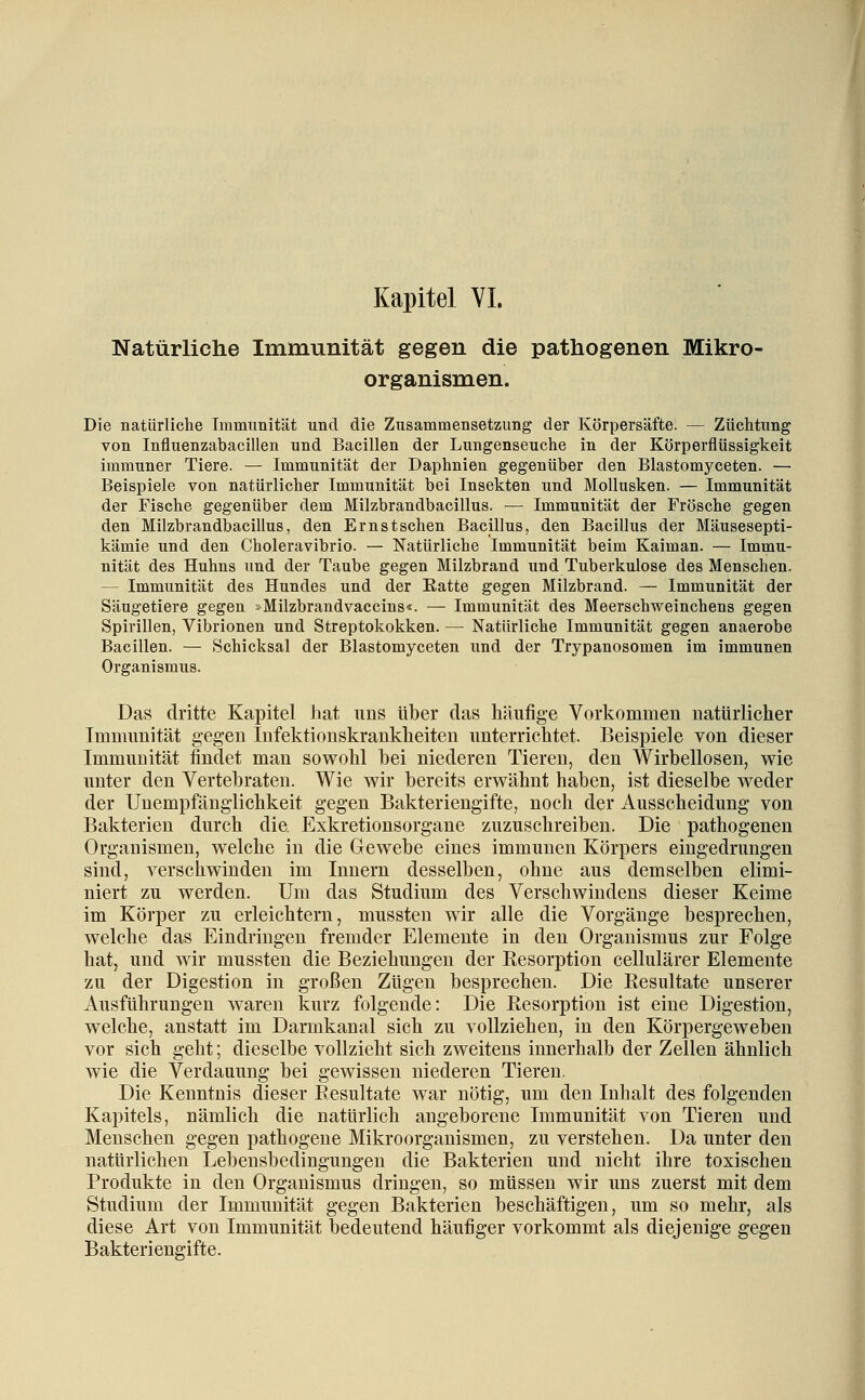 Kapitel VI. Natürliche Immunität gegen die pathogenen Mikro- organismen. Die natürliche Immunität und die Znsammensetzung der Körpersäfte. — Züchtung von Influenzabacillen und Bacillen der Lungenseuche in der Körperflüssigkeit immuner Tiere. — Immunität der Daphnien gegenüber den Blastomyceten. — Beispiele von natürlicher Immunität bei Insekten und Mollusken. — Immunität der Fische gegenüber dem Milzbrandbacillus. — Immunität der Frösche gegen den Milzbrandbacillus, den Ernstschen Bacillus, den Bacillus der Mäusesepti- kämie und den Choleravibrio. — Natürliche Immunität beim Kaiman. — Immu- nität des Huhns xmd der Taube gegen Milzbrand und Tuberkulose des Menschen. — Immunität des Hundes und der Ratte gegen Milzbrand. — Immunität der Säugetiere gegen »Milzbrandvaccins«. — Immunität des Meerschweinchens gegen Spirillen, Vibrionen und Streptokokken. — Natürliche Immunität gegen anaerobe Bacillen. — Schicksal der Blastomyceten und der Trypanosomen im immunen Organismus. Das dritte Kapitel hat uns über das häufige Vorkommen natürlicher Immunität gegen Infektionskrankheiten imterrichtet. Beispiele von dieser Immunität findet man sowohl bei niederen Tieren, den Wirbellosen, wie unter den Vertebraten. Wie wir bereits erwähnt haben, ist dieselbe weder der Unempfänglichkeit gegen Bakteriengifte, noch der Ausscheidung von Bakterien durch die Exkretionsorgane zuzuschreiben. Die pathogenen Organismen, welche in die Gewebe eines immunen Körpers eingedrungen sind, verschwinden im Innern desselben, ohne aus demselben elimi- niert zu werden. Um das Studium des Verschwindens dieser Keime im Körper zu erleichtern, mussten wir alle die Vorgänge besprechen, welche das Eindringen fremder Elemente in den Organismus zur Folge hat, und wir mussten die Beziehungen der Resorption cellulärer Elemente zu der Digestion in großen Zügen besprechen. Die Resultate unserer Ausführungen waren kurz folgende: Die Resorption ist eine Digestion, welche, anstatt im Darmkanal sich zu vollziehen, in den Körpergeweben vor sich geht; dieselbe vollzieht sich zweitens innerhalb der Zellen ähnlich wie die Verdauung bei gewissen niederen Tieren. Die Kenntnis dieser Resultate war nötig, um den Inhalt des folgenden Kapitels, nämlich die natürlich angeborene Immunität von Tieren und Menschen gegen pathogene Mikroorganismen, zu verstehen. Da unter den natürlichen Lebensbedingungen die Bakterien und nicht ihre toxischen Produkte in den Organismus dringen, so müssen wir uns zuerst mit dem Studium der Immunität gegen Bakterien beschäftigen, um so mehr, als diese Art von Immunität bedeutend häufiger vorkommt als diejenige gegen Bakteriengifte.