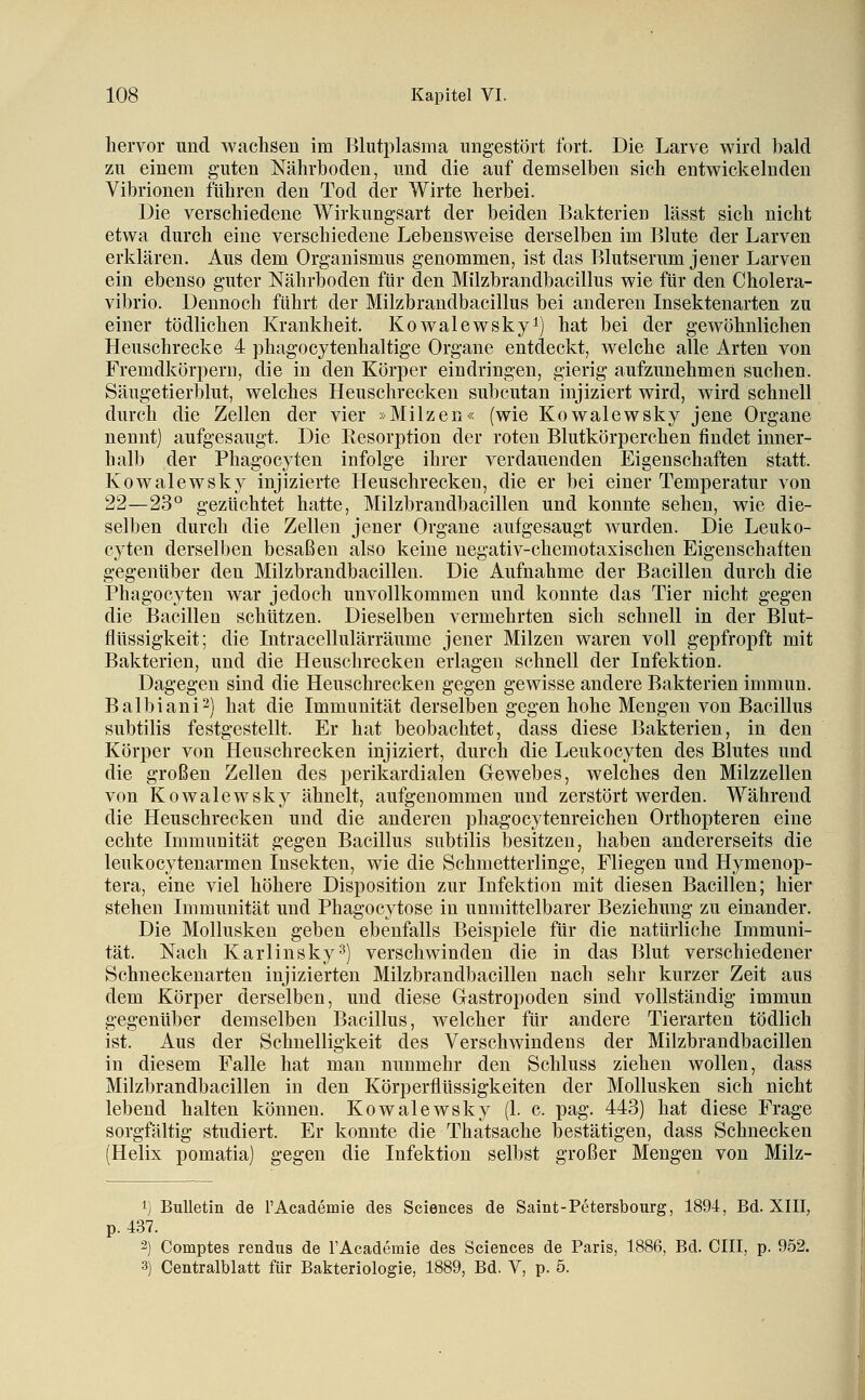 hervor und wachsen im Blutplasma ungestört fort. Die Larve wird bald zu einem guten Nährboden, und die auf demselben sieh entwickelnden Vibrionen führen den Tod der Wirte herbei. Die verschiedene Wirkungsart der beiden Bakterien lässt sich nicht etwa durch eine verschiedene Lebensweise derselben im Blute der Larven erklären. Aus dem Organismus genommen, ist das Blutserum jener Larven ein ebenso guter Nährboden für den Milzbrandbacillus wie für den Cholera- vibrio. Dennoch führt der Milzbrandbacillus bei anderen Insektenarten zu einer tödlichen Krankheit. Kowalewsky^) hat bei der gewöhnlichen Heuschrecke 4 phagocytenhaltige Organe entdeckt, welche alle Arten von Fremdkörpern, die in den Körper eindringen, gierig aufzunehmen suchen. Säugetierblut, welches Heuschrecken subcutan injiziert wird, wird schnell durch die Zellen der vier »Milzen« (wie Kowalewsky jene Organe nennt) aufgesaugt. Die Eesorption der roten Blutkörperchen findet inner- halb der Phagocyten infolge ihrer verdauenden Eigenschaften statt. Kowalewsky injizierte Heuschrecken, die er bei einer Temperatur von 22—23° gezüchtet hatte, Milzbrandbacillen und konnte sehen, wie die- selben durch die Zellen jener Organe aufgesaugt wurden. Die Leuko- cyten derselben besaßen also keine uegativ-chemotaxischen Eigenschaften gegenüber den Milzbrandbacillen. Die Aufnahme der Bacillen durch die Phagocyten war jedoch unvollkommen und konnte das Tier nicht gegen die Bacillen schützen. Dieselben vermehrten sich schnell in der Blut- flüssigkeit; die Intracellulärräume jener Milzen waren voll gepfropft mit Bakterien, und die Heuschrecken erlagen schnell der Infektion. Dagegen sind die Heuschrecken gegen gewisse andere Bakterien immun. Balbiani^) hat die Immunität derselben gegen hohe Mengen von Bacillus subtilis festgestellt. Er hat beobachtet, dass diese Bakterien, in den Körper von Heuschrecken injiziert, durch die Leukocyten des Blutes und die großen Zellen des perikardialen Gewebes, welches den Milzzellen von Kowalewsky ähnelt, aufgenommen und zerstört werden. Während die Heuschrecken und die anderen phagocytenreichen Orthopteren eine echte Immunität gegen Bacillus subtilis besitzen, haben andererseits die leukocyteuarmen Insekten, wie die Schmetterlinge, Fliegen und Hymenop- tera, eine viel höhere Disposition zur Infektion mit diesen Bacillen; hier stehen Immunität und Phagocytose in unmittelbarer Beziehung zu einander. Die Mollusken geben ebenfalls Beispiele für die natürliche Immuni- tät. Nach Karlinsky^^) verschwinden die in das Blut verschiedener Schneckenarten injizierten Milzbrandbacillen nach sehr kurzer Zeit aus dem Körper derselben, und diese Gastropoden sind vollständig immun gegenüber demselben Bacillus, welcher für andere Tierarten tödlich ist. Aus der Schnelligkeit des Verschwindens der Milzbrandbacillen in diesem Falle hat man nunmehr den Schluss ziehen wollen, dass Milzbrandbacillen in den Körperflüssigkeiten der Mollusken sich nicht lebend halten können. Kowalewsky (1. c. pag. 443) hat diese Frage sorgfältig studiert. Er konnte die Thatsache bestätigen, dass Schnecken (Helix pomatia) gegen die Infektion selbst großer Mengen von Milz- 1) Bulletin de rAcademie des Sciences de Saint-Petersbourg, 1894, Bd. XIII, p. 437. 2) Comptes rendus de FAcademie des Sciences de Paris, 1886, Bd. CHI, p. 9.52. 3) Centralblatt für Bakteriologie, 1889, Bd. V, p. 5.