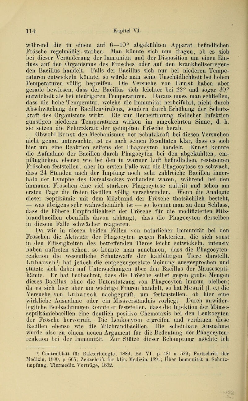 während die in einem auf 6—10° abgekühlten Apparat befindlichen Frösche regelmäßig starben. Man könnte sich nun fragen, ob es sich bei dieser Veränderung der Immunität und der Disposition um einen Ein- fluss auf den Organismus des Frosches oder auf den krankheitserregen- den Bacillus handelt. Falls der Bacillus sich nur bei niederen Tempe- raturen entwickeln könnte, so würde man seine Unschädlichkeit bei hohen Temperaturen völlig begreifen. Die Versuche von Ernst haben aber gerade bewiesen, dass der Bacillus sich leichter bei 22° und sogar 30° entwickelt als bei niedrigeren Temperaturen. Daraus muss man schließen, dass die hohe Temperatur, welche die Immunität herbeiführt, nicht durch Abschwächung der Bacillenvirulenz, sondern durch Erhöhung der Schutz- kraft des Organismus wirkt. Die zur Herbeiführung tödlicher Infektion günstigen niederen Temperaturen wirken im umgekehrten Sinne, d. h. sie setzen die Schutzkraft der geimpften Frösche herab. Obwohl Ernst den Mechanismus der Schutzkraft bei diesen Versuchen nicht genau untersuchte, ist es nach seinen Eesultaten klar, dass es sich hier um eine Reaktion seitens der Phagocyten handelt. Ernst konnte die Aufnahme der Bacillen durch Phagocyten bei den abgekühlten, em- pfänglichen, ebenso wie bei den in warmer Luft befindlichen, resistenten Fröschen feststellen; aber im ersten Falle war die Phagocytose so schwach, dass 24 Stunden nach der Impfung noch sehr zahlreiche Bacillen inner- halb der Lymphe des Dorsalsackes vorhanden waren, während bei den immunen Fröschen eine viel stärkere Phagocytose auftritt und schon am ersten Tage die freien Bacillen völlig verschwinden. Wenn die Analogie dieser Septikämie mit dem Milzbrand der Frösche thatsächlich besteht, — was übrigens sehr wahrscheinlich ist — so kommt man zu dem Schluss, dass die höhere Empfindlichkeit der Frösche für die modifizierten Milz- brandbacillen ebenfalls davon abhängt, dass die Phagocyten derselben in diesem Falle schwächer reagieren. Da wir in diesen beiden Fällen von natürlicher Immunität bei den Fröschen die Aktivität der Phagocyten gegen Bakterien, die sich sonst in den Flüssigkeiten des betreffenden Tieres leicht entwickeln, intensiv haben auftreten sehen, so könnte man annehmen, dass die Phagocyten- reaktion die wesentliche Schutzwafi'e der kaltblütigen liiere darstellt. Lübarschi) hat jedoch die entgegengesetzte Meinung ausgesprochen und stützte sich dabei auf Untersuchungen über den Bacillus der Mäusesepti- kämie. Er hat beobachtet, dass die Frösche selbst gegen grolie Mengen dieses Bacillus ohne die Unterstützung von Phagocyten immun bleiben; da es sich hier aber um wichtige Fragen handelt, so hat Mesnil (1. c.) die Versuche von Lubarsch nachgeprüft, um festzustellen, ob hier eine wirkliche Ausnahme oder ein Missverständnis vorliegt. Durch unwider- legliche Beobachtungen konnte er feststellen, dass die Injektion der Mäuse- septikämiebacillen eine deutlich positive Chemotaxis bei den Leukocyten der Frösche hervorruft. Die Leukocyten ergreifen und verdauen diese Bacillen ebenso wie die Milzbrandbacillen. Die scheinbare Ausnahme wurde also zu einem neuen Argument für die Bedeutung der Phagocyten- reaktion bei der Immunität. Zur Stütze dieser Behauptung möchte ich 1) Centralblatt für Bakteriologie, 1889, Bd. VI, p. 481 u. 529; Fortschritt der Medizin, 1890, p. 665; Zeitschrift für klin. Medizin, 1891; Über Imnannität n. Schutz- impfung, Tiermediz. Vorträge, 1892.